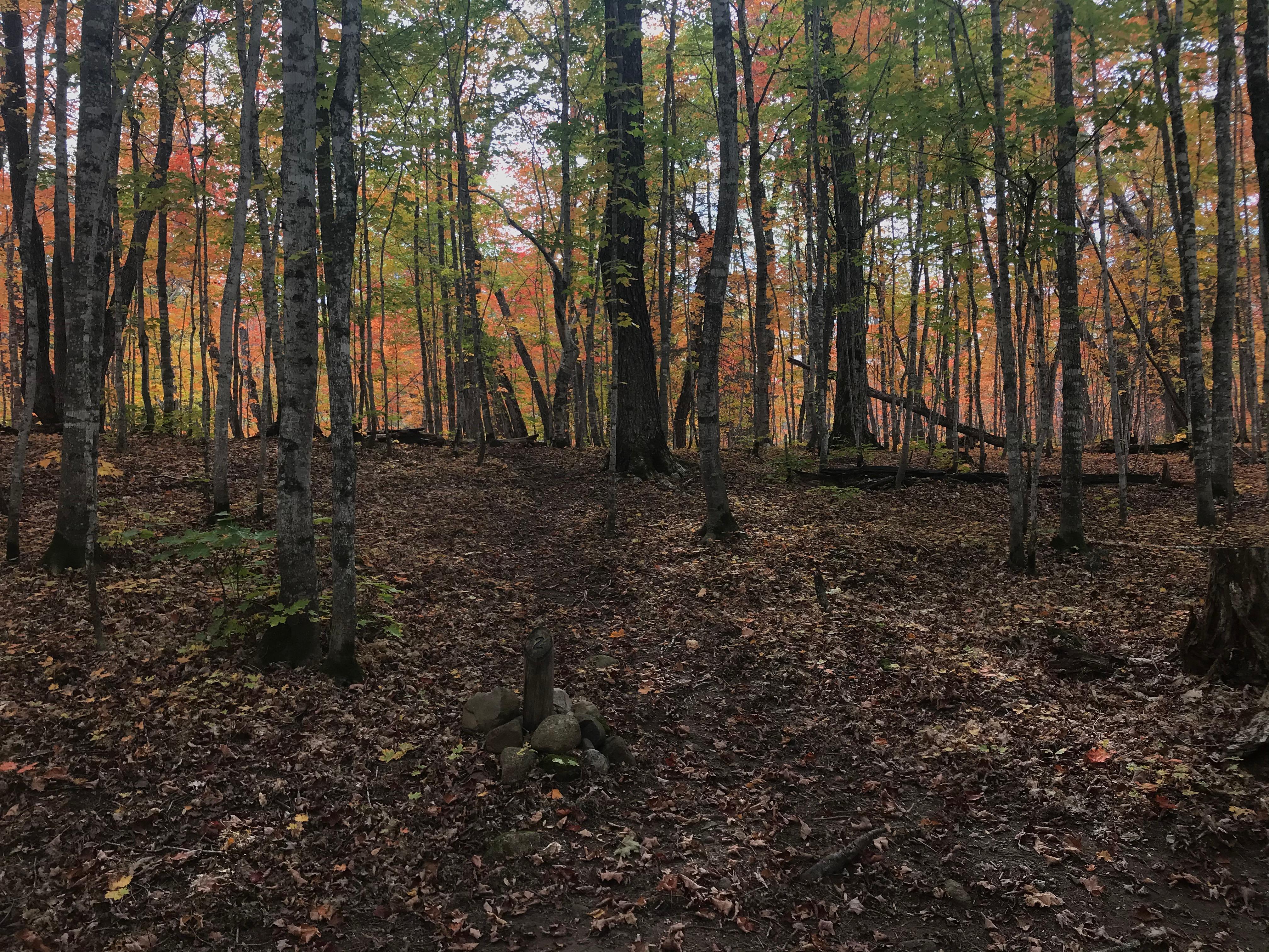 Island Mine Campground photo