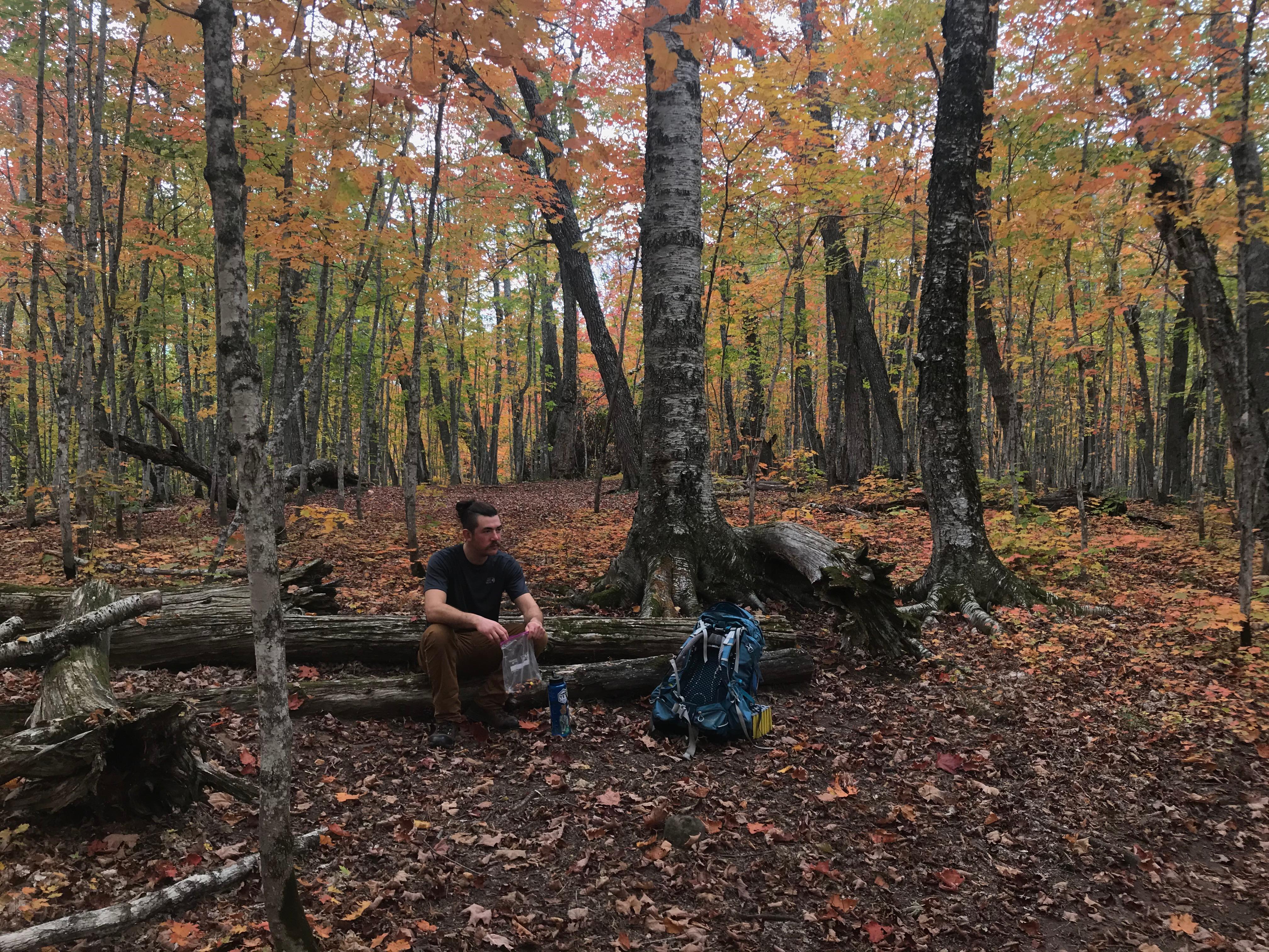 Island Mine Campground photo 2