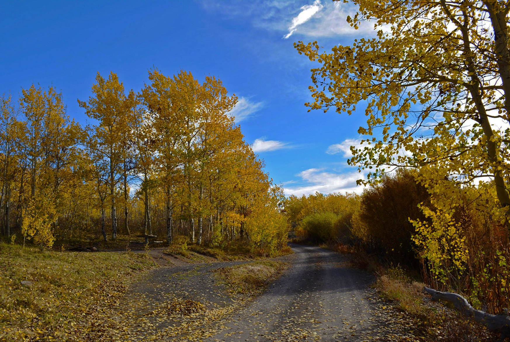 Jackman Park Campground photo 2