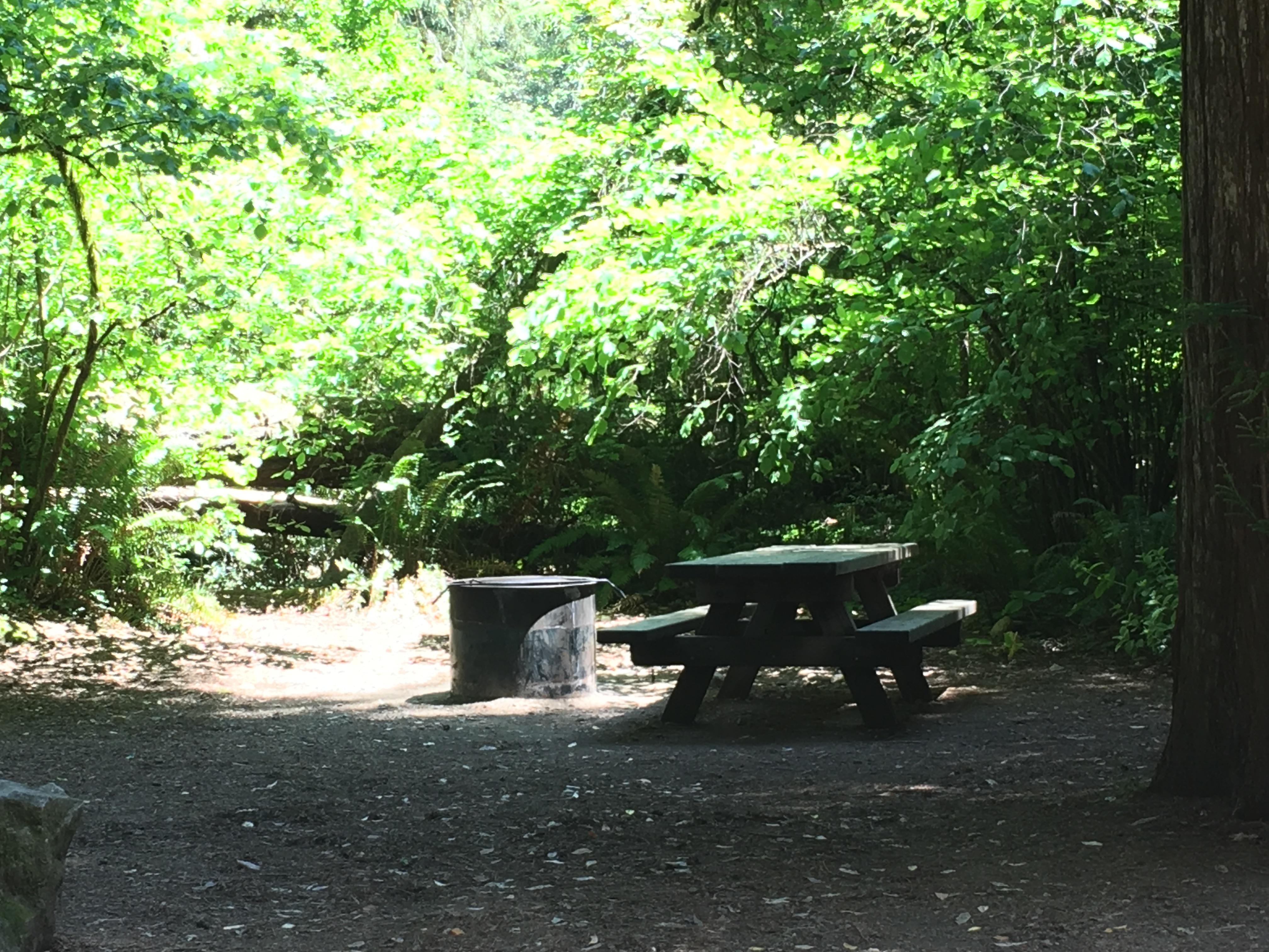 Jedediah Smith Campground - Jedediah Smith Redwoods State Park photo 3