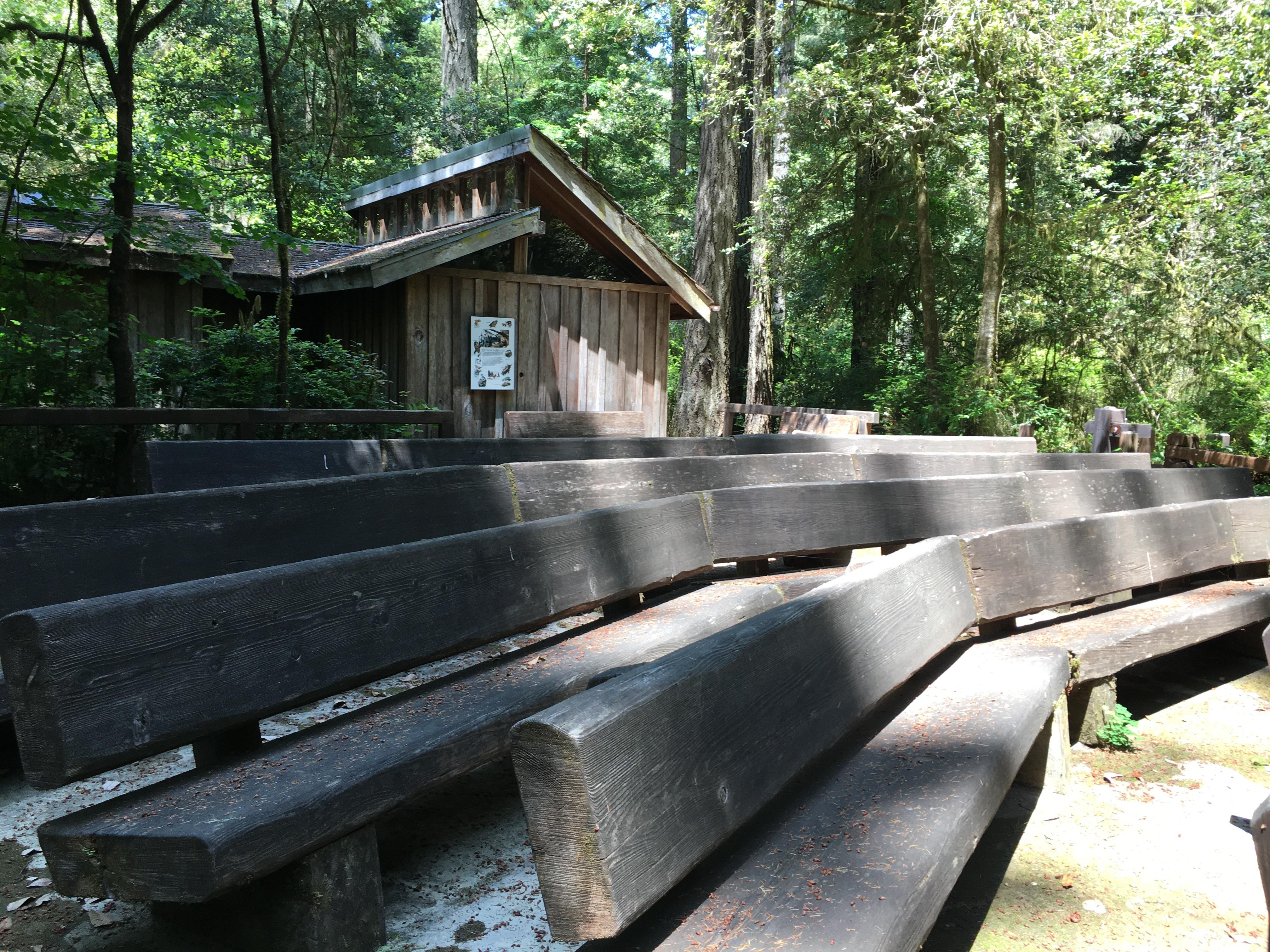 Jedediah Smith Visitor Center photo 2