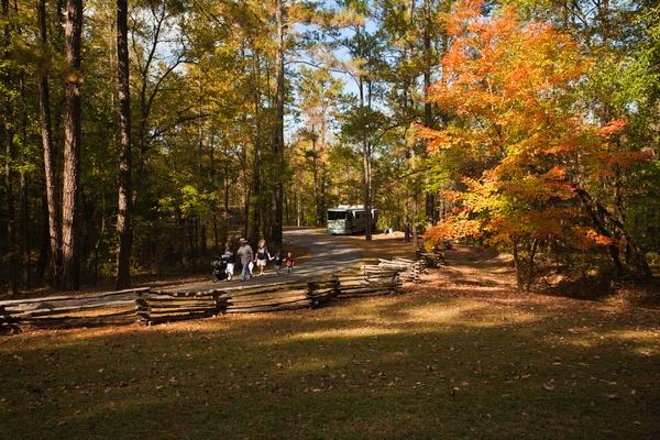 Jeff Busby Campground, Milepost 193.1 photo