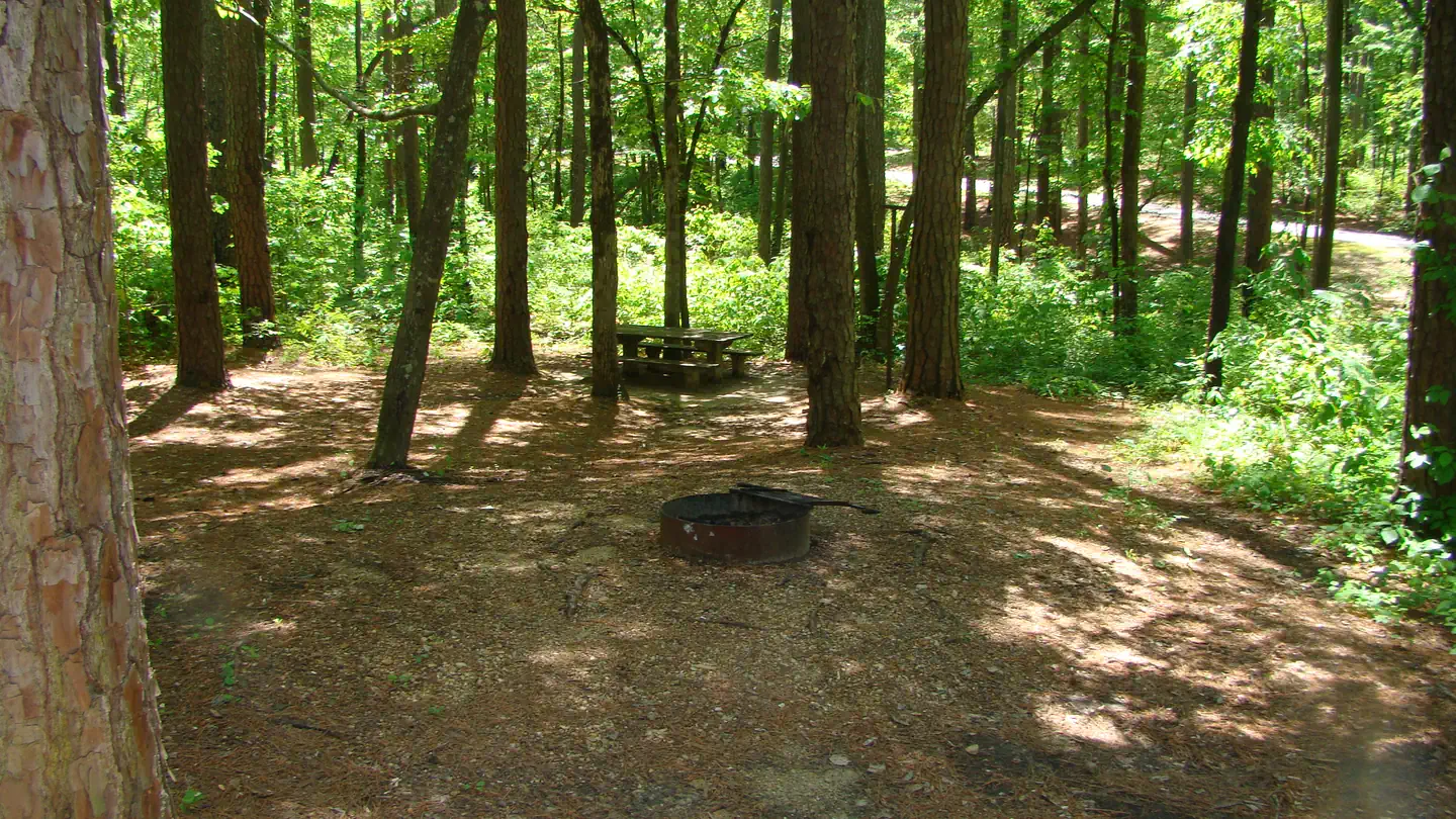 Jeff Busby Campground, Milepost 193.1 photo 3