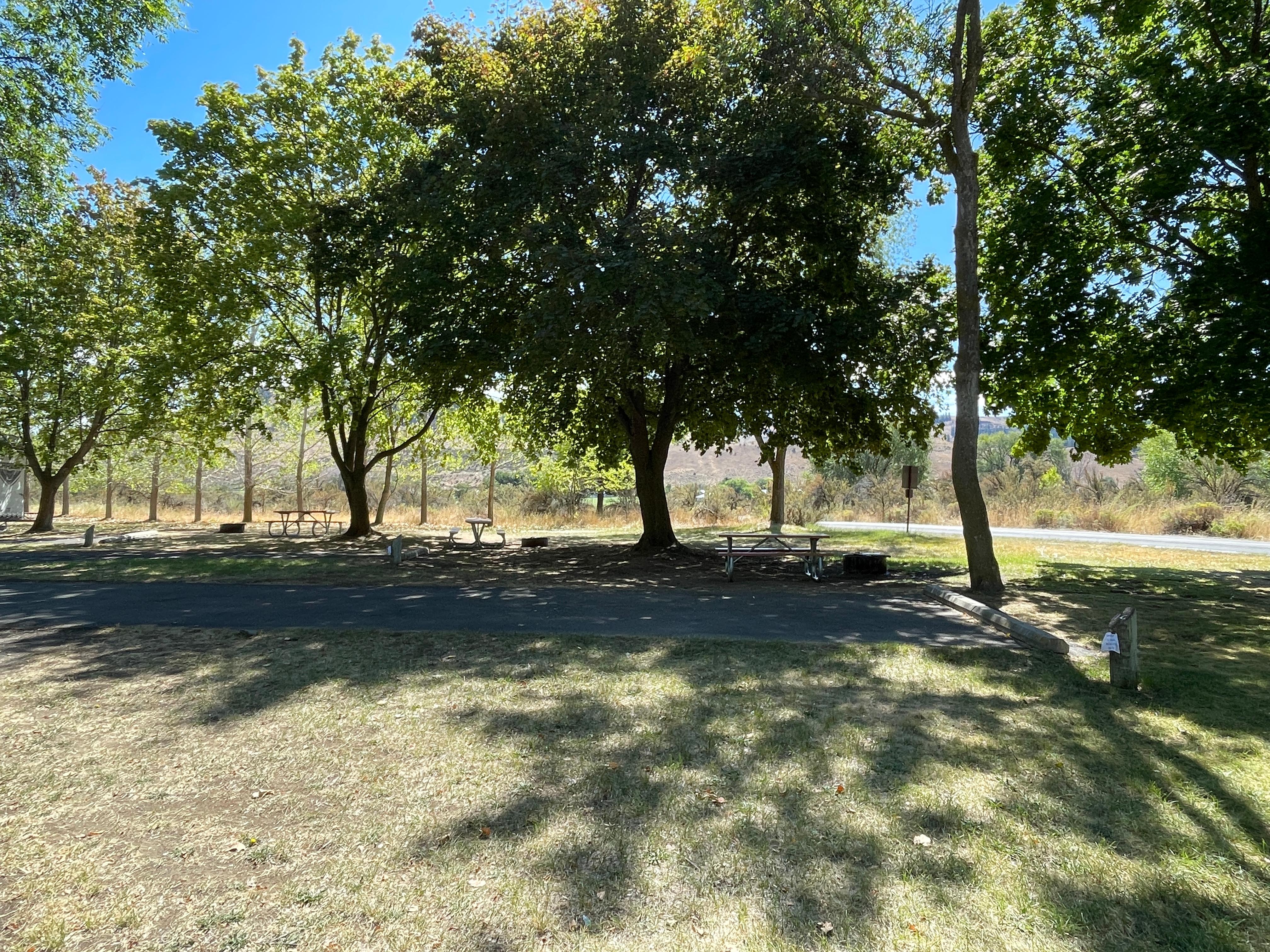 Keller Ferry Campground (Concessionaire-operated) photo
