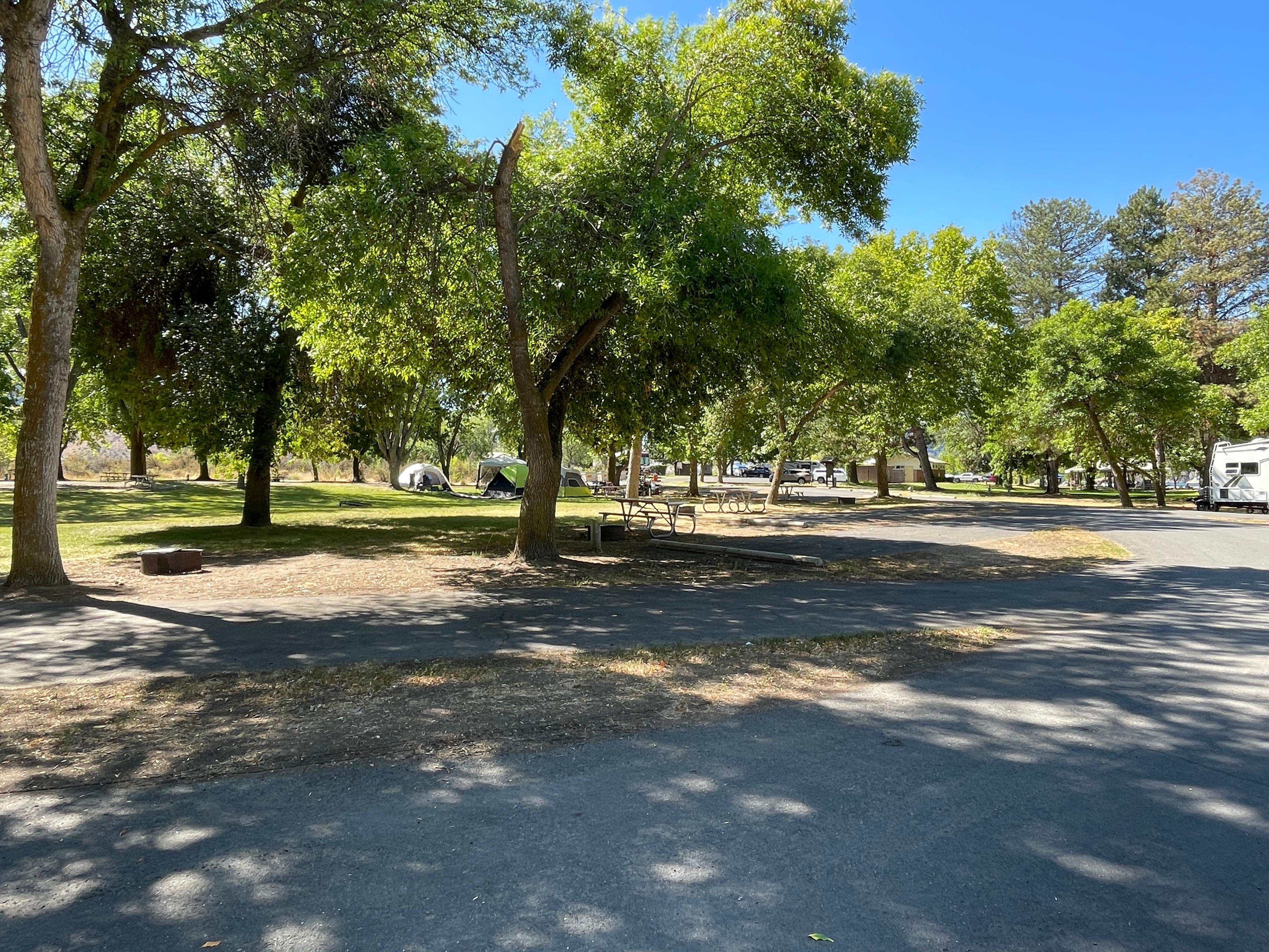 Keller Ferry Campground (Concessionaire-operated) photo 5