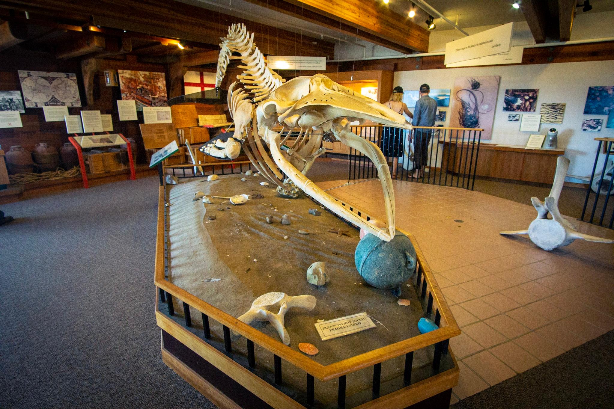 Kenneth C. Patrick Visitor Center photo 2