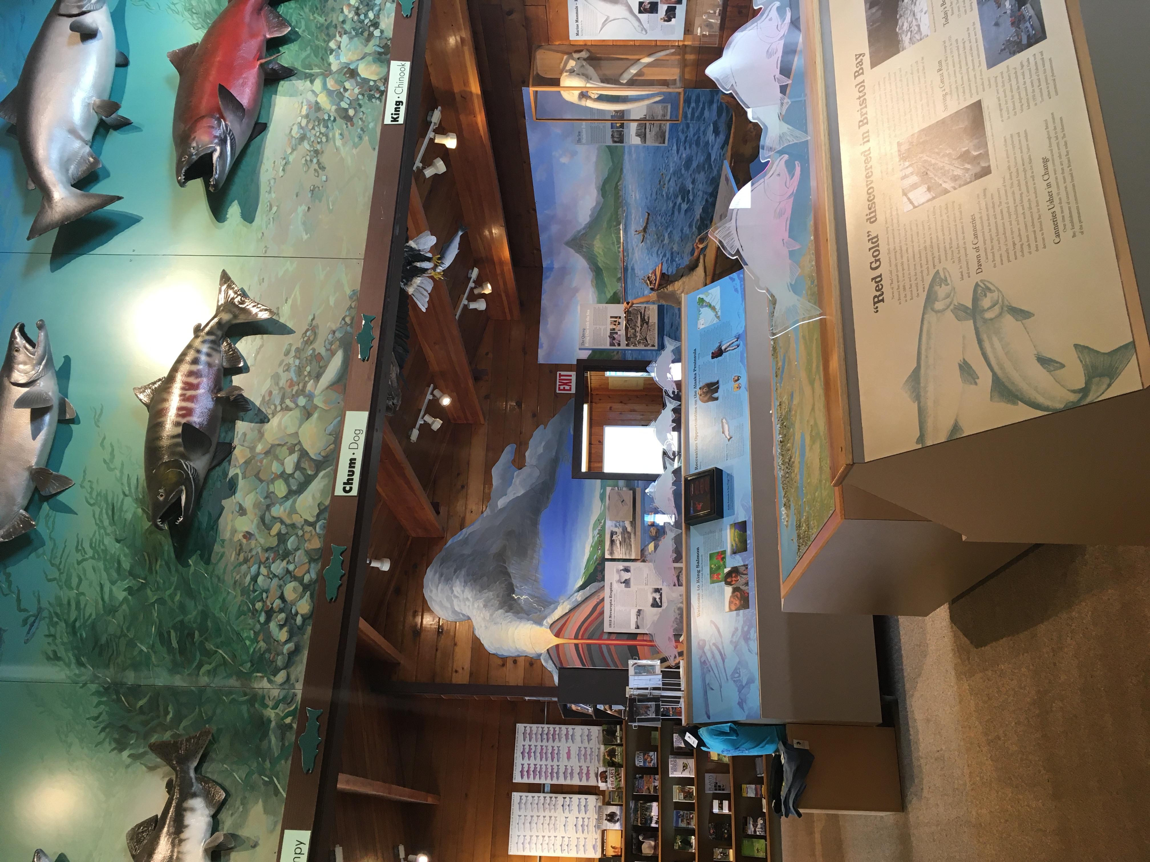 King Salmon Visitor Center photo 2