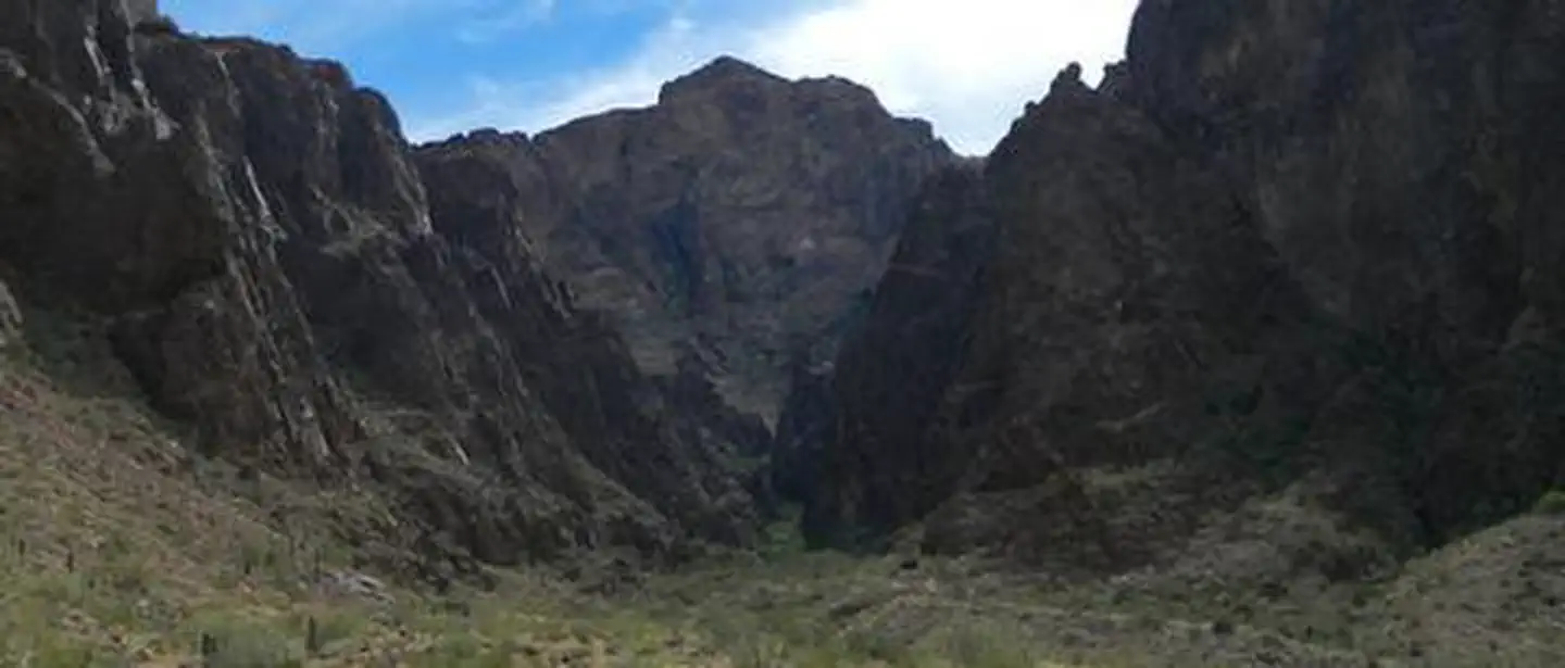Kofa Wilderness photo