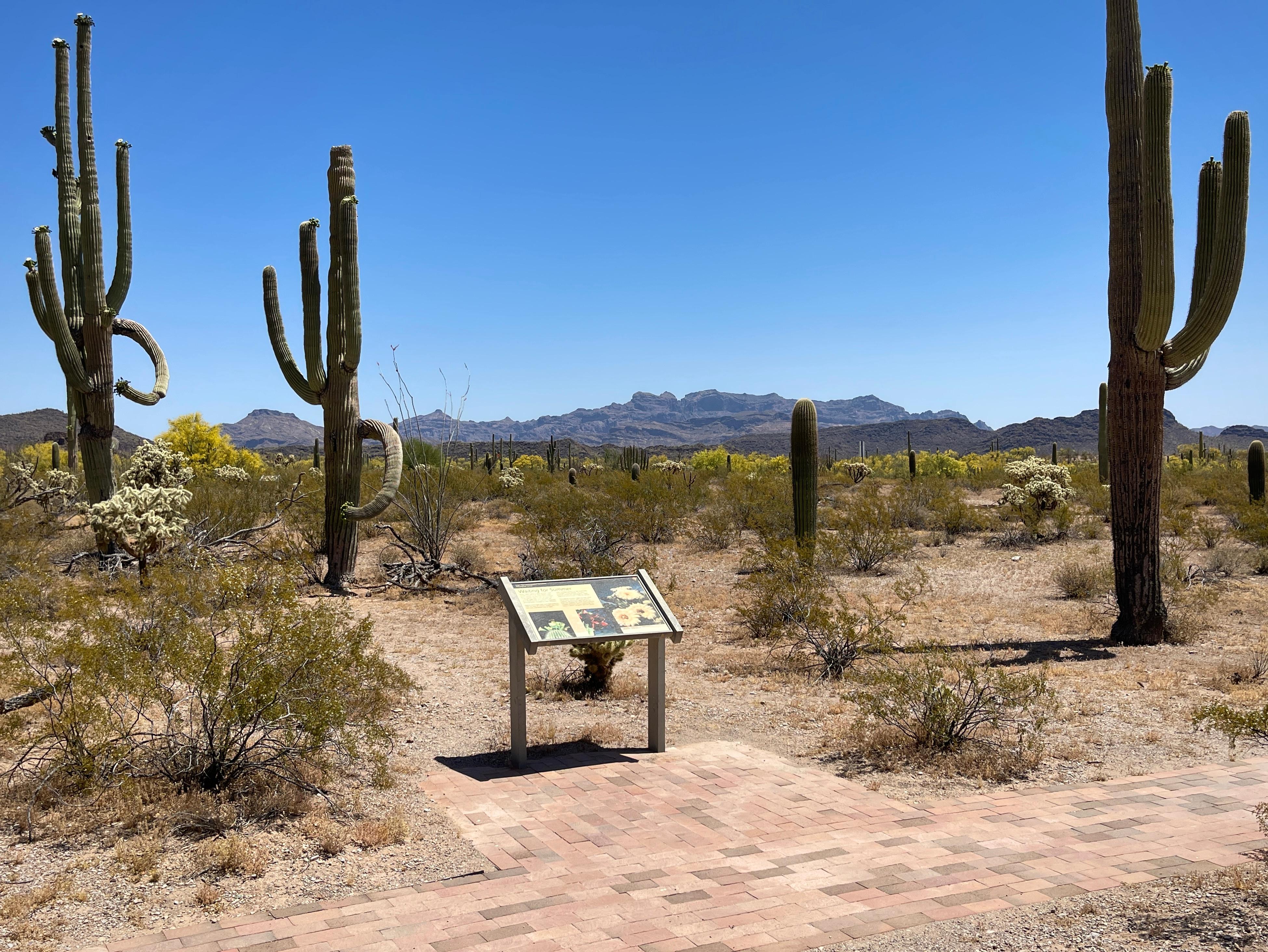 Kris Eggle Visitor Center photo 3