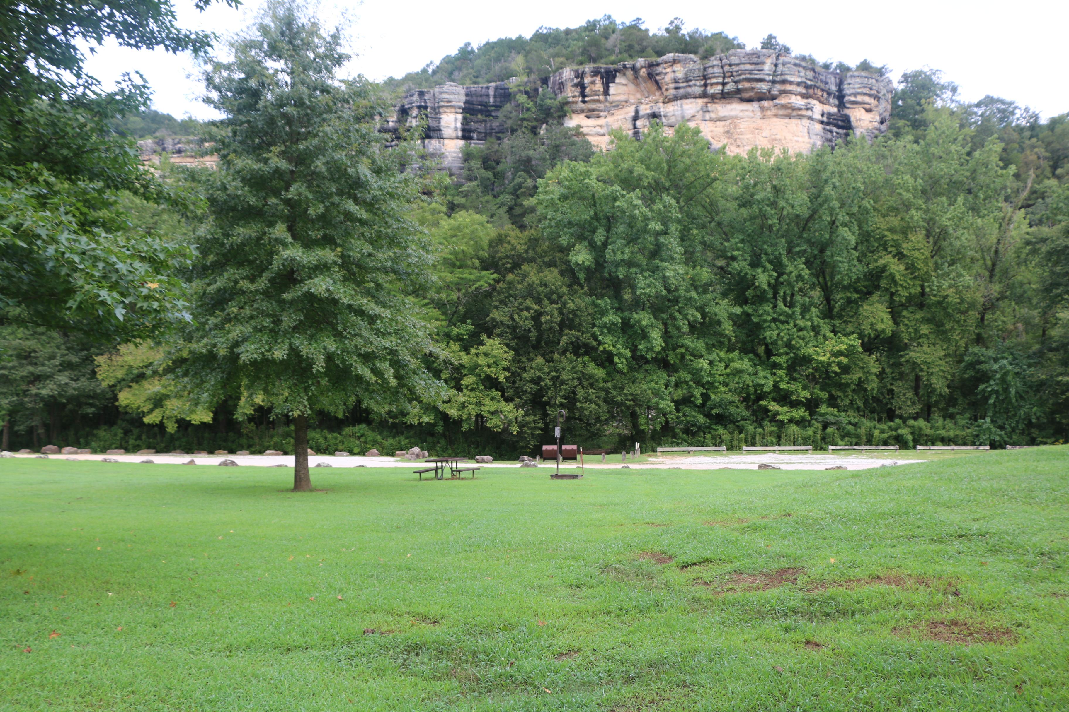 Kyles Landing photo 3