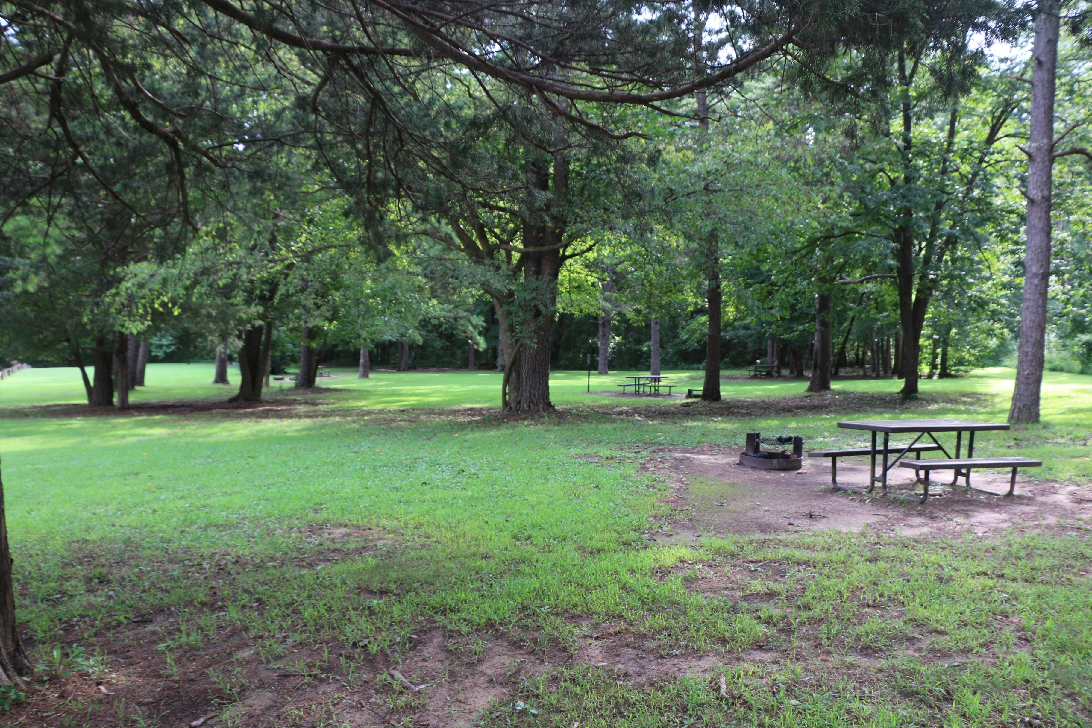 Kyles Landing photo 5