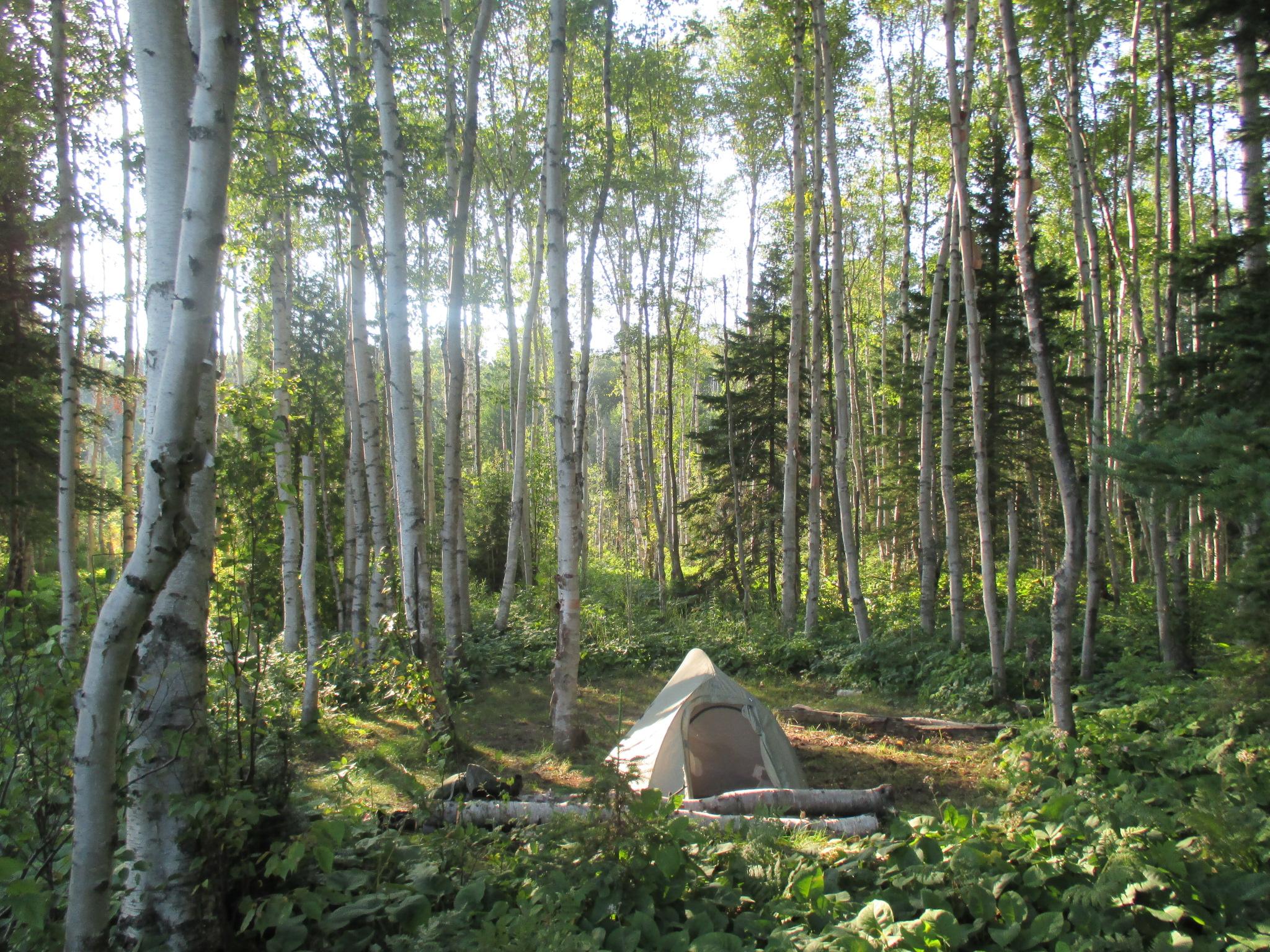 Lake Whittlesey Campground photo 2
