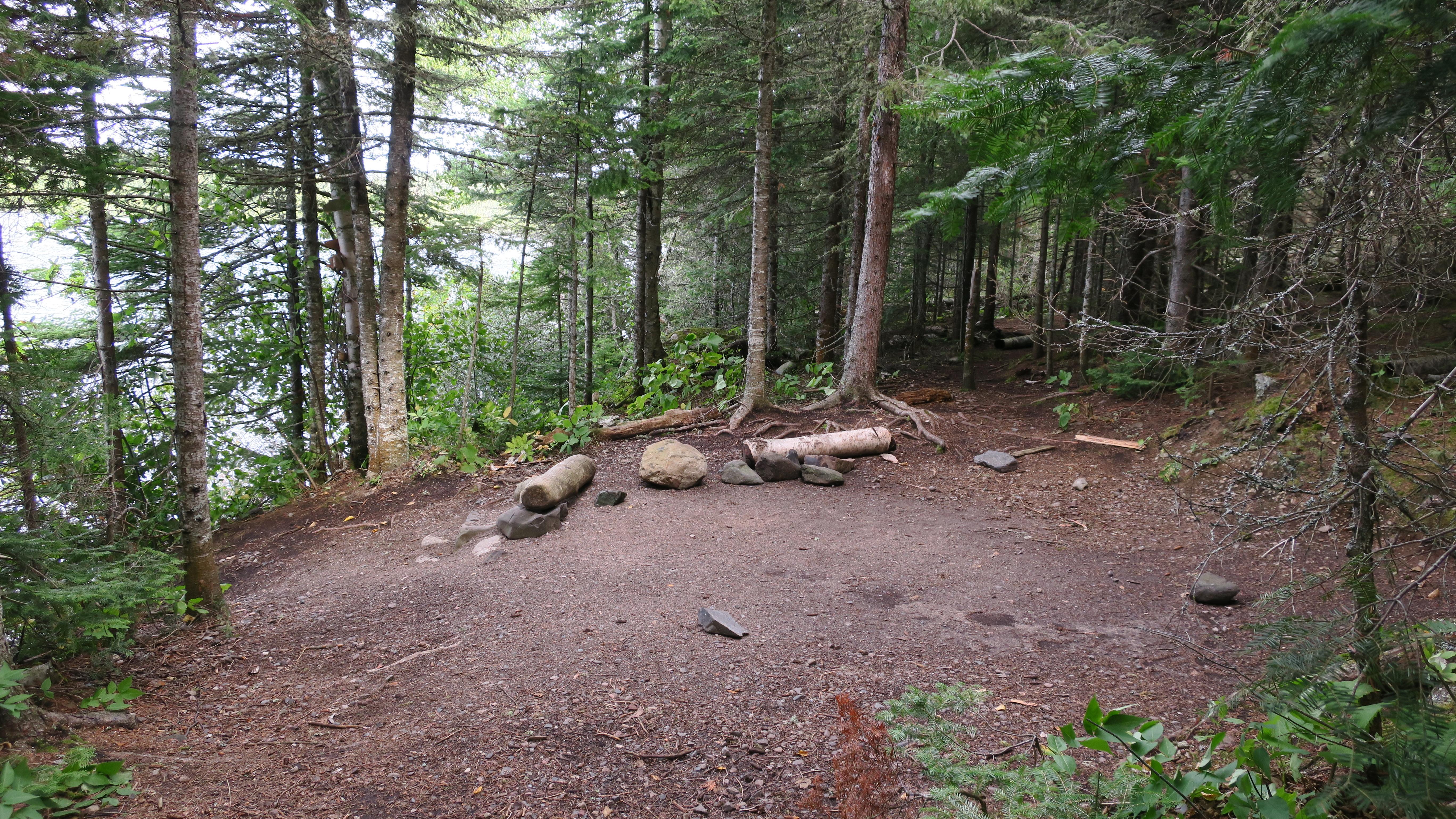 Lane Cove Campground photo 2
