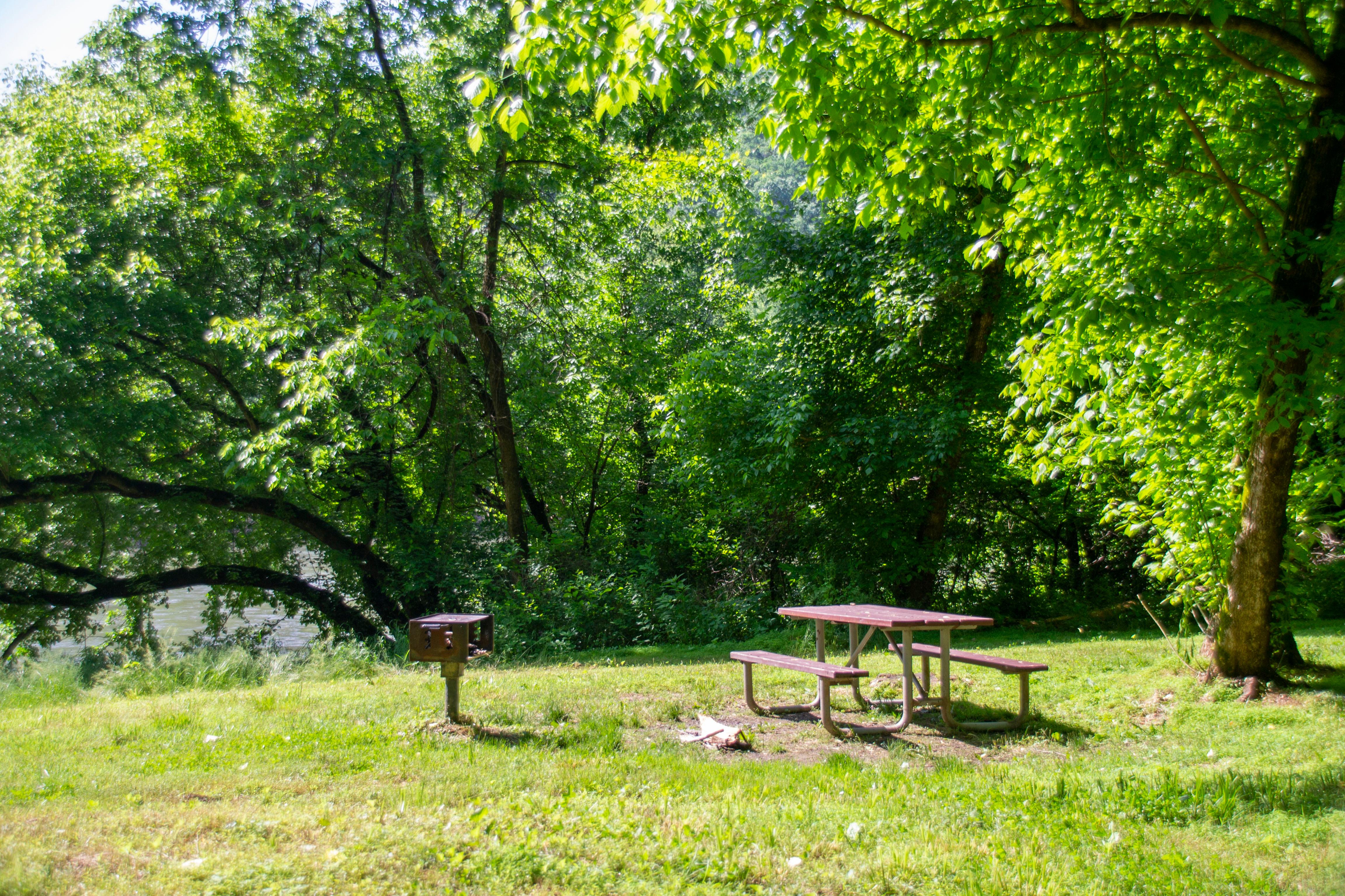 Leopards Mill Hiker-Biker Overnight (HBO) Campsite photo