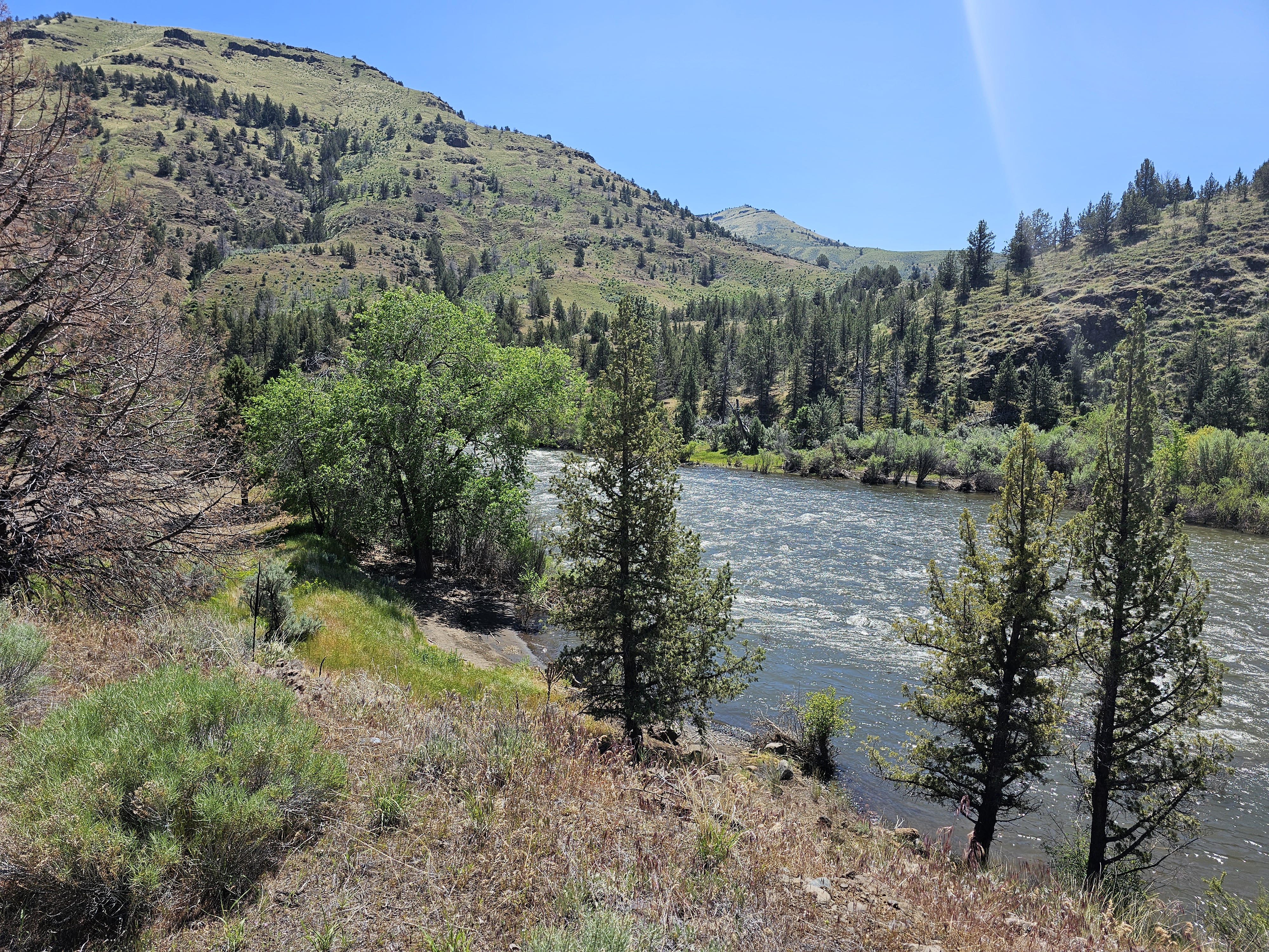 Lone Pine Campground photo 2