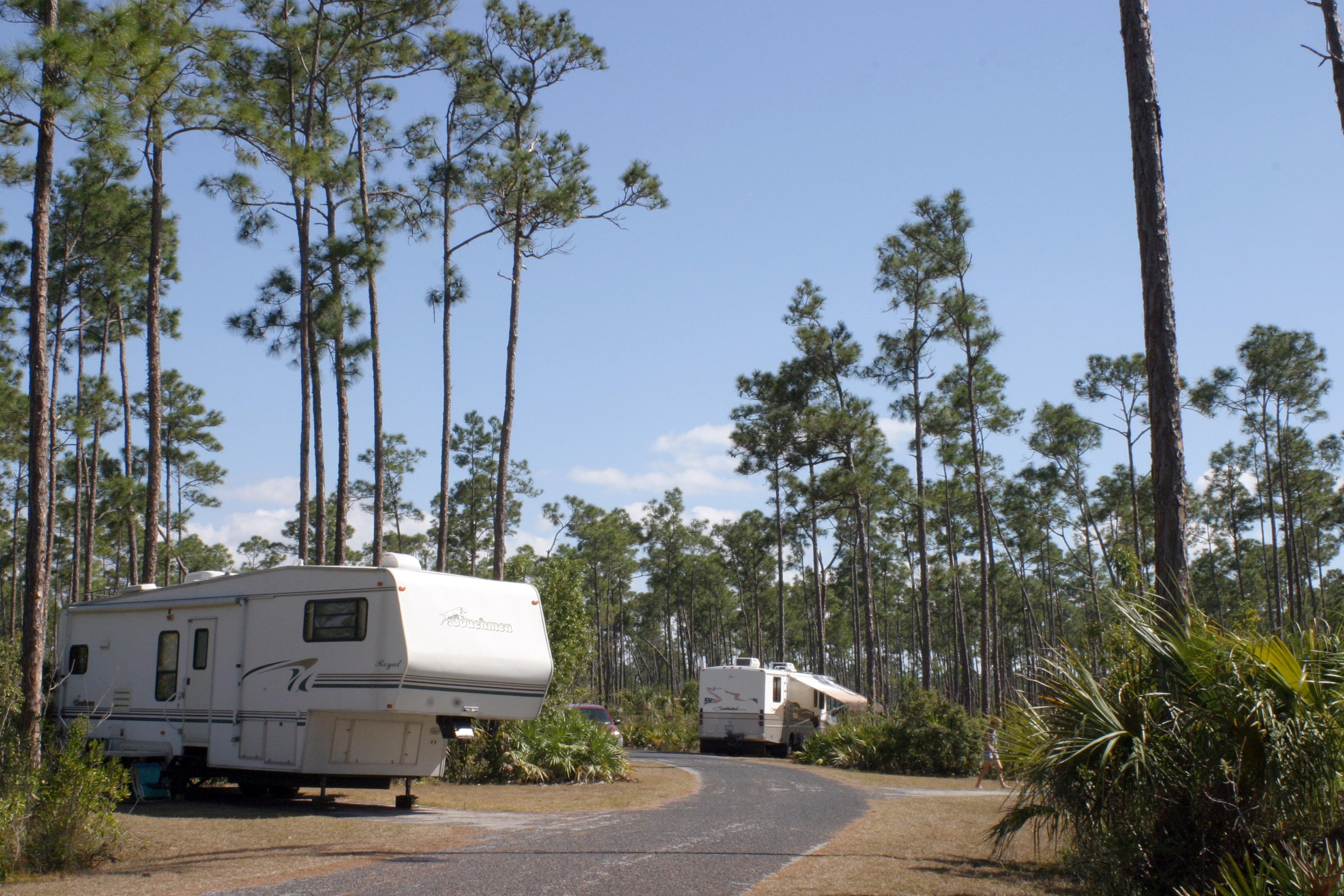 Long Pine Key Campground photo