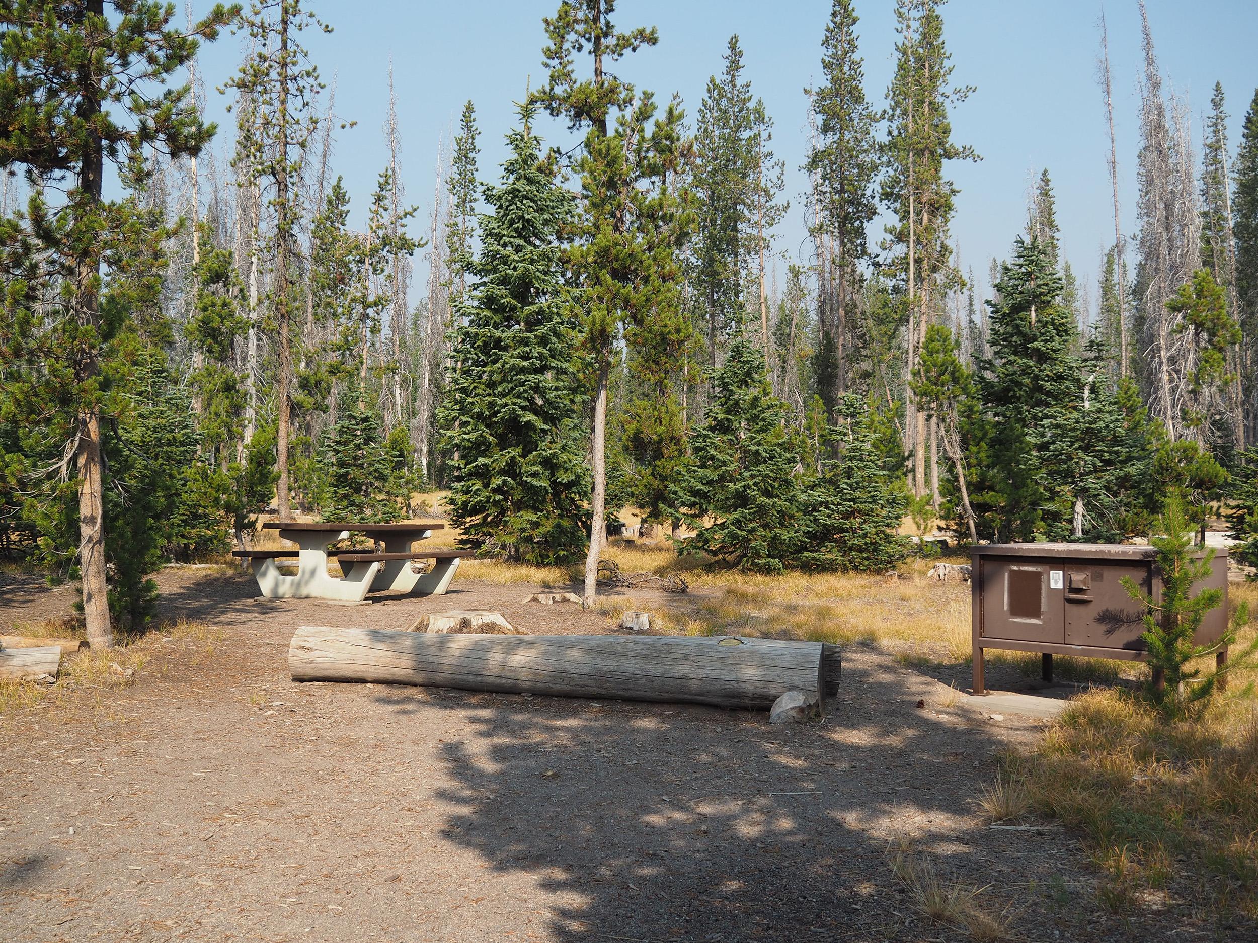 Lost Creek Campground photo 3