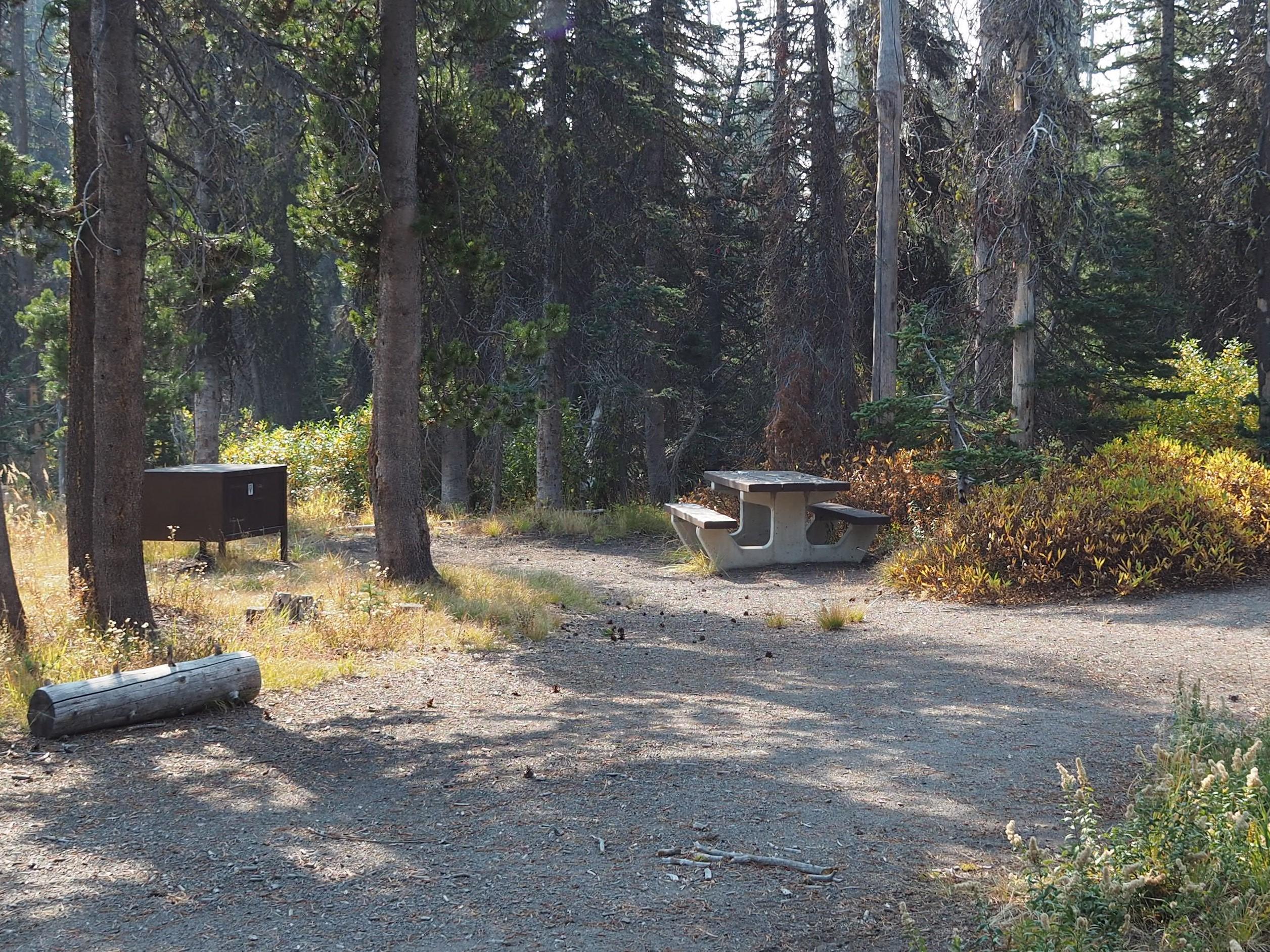 Lost Creek Campground photo 4