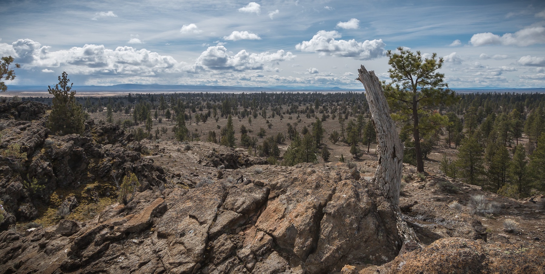 Lost Forest/Dunes/Fossil ACEC photo