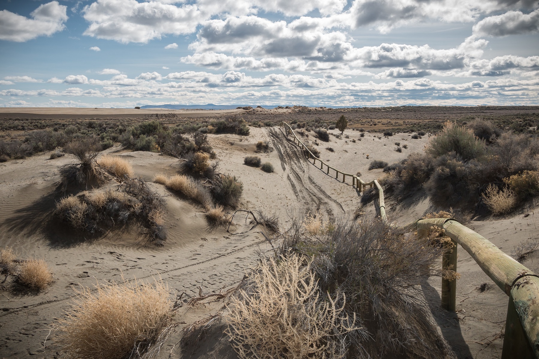 Lost Forest/Dunes/Fossil ACEC photo 2