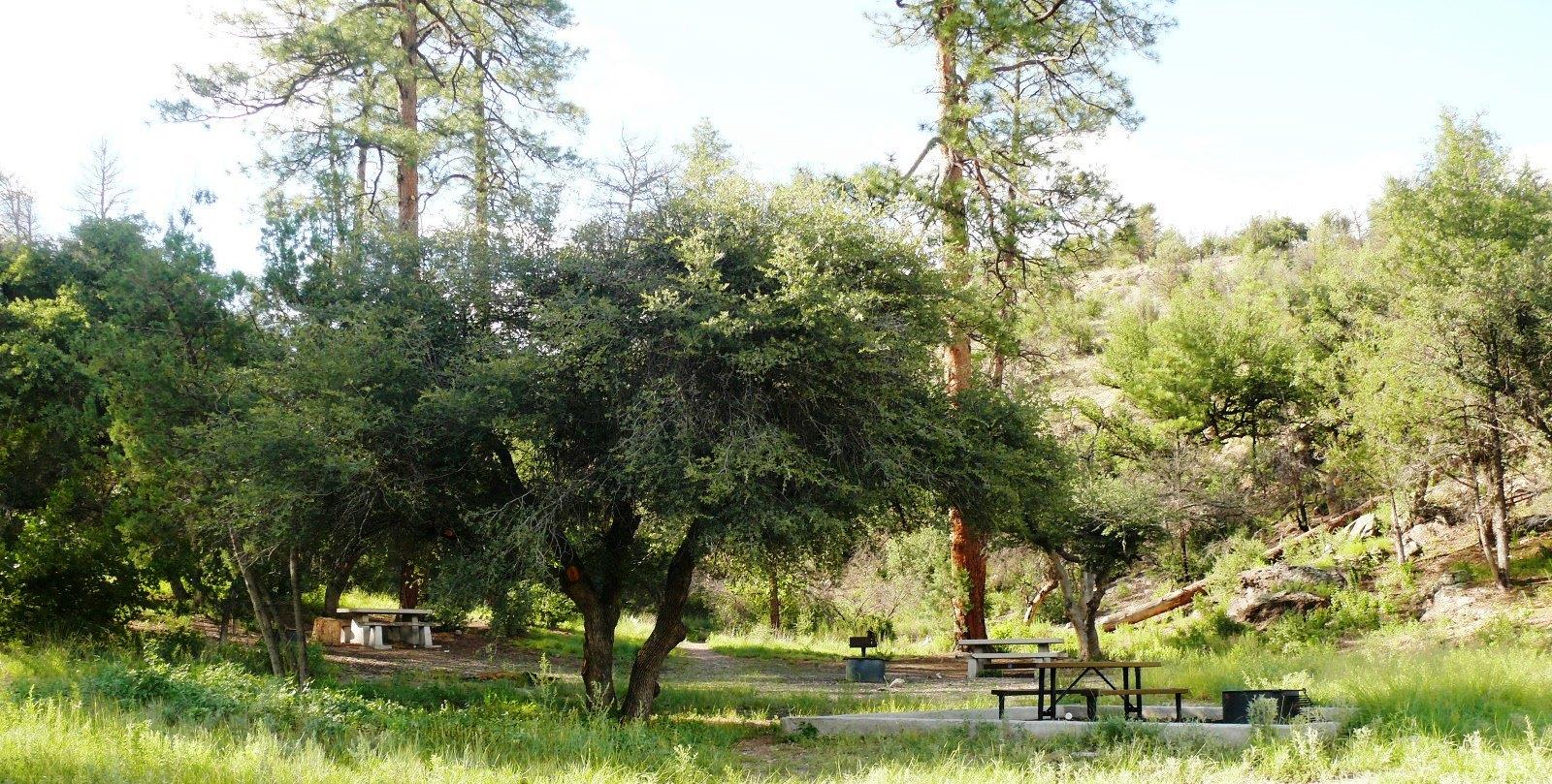 Lower Scorpion Campground photo