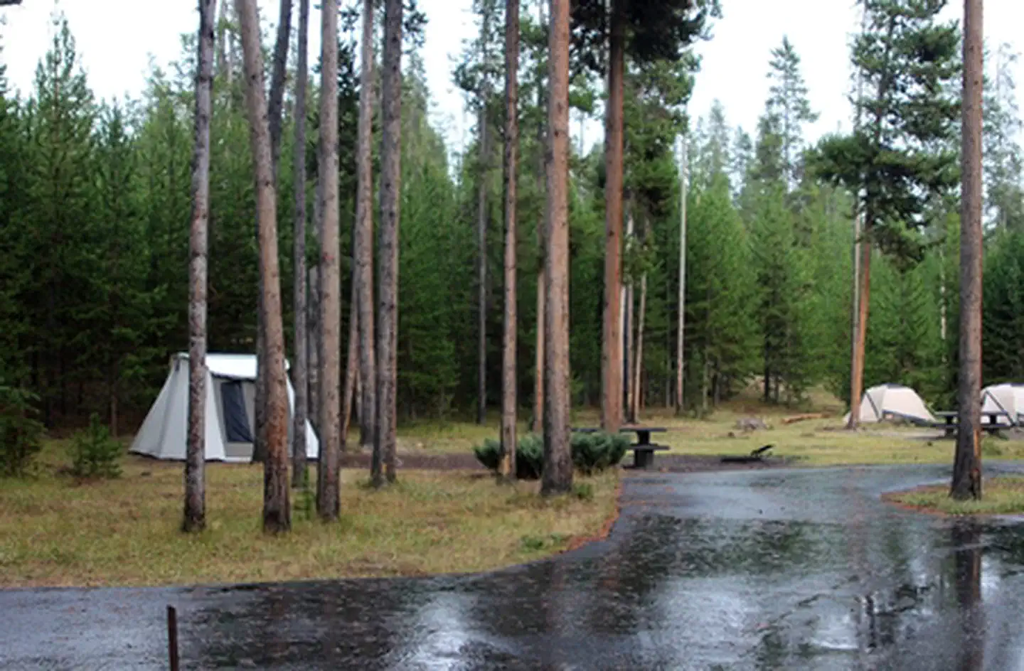 Madison Campground photo