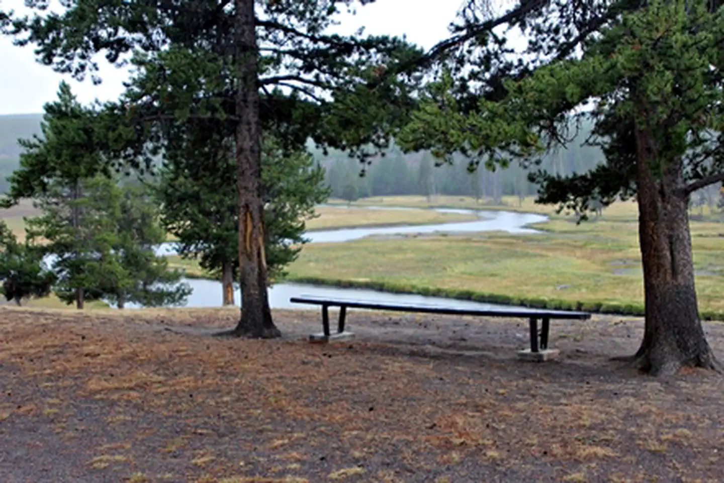 Madison Campground photo 3