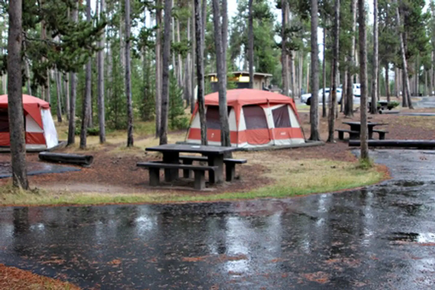 Madison Campground photo 4