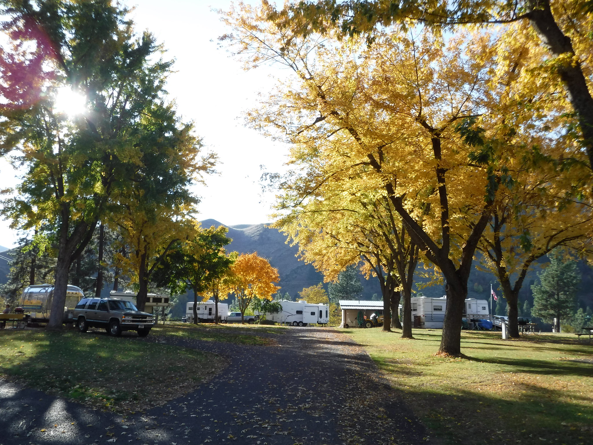 McKay's Bend Recreation Site photo