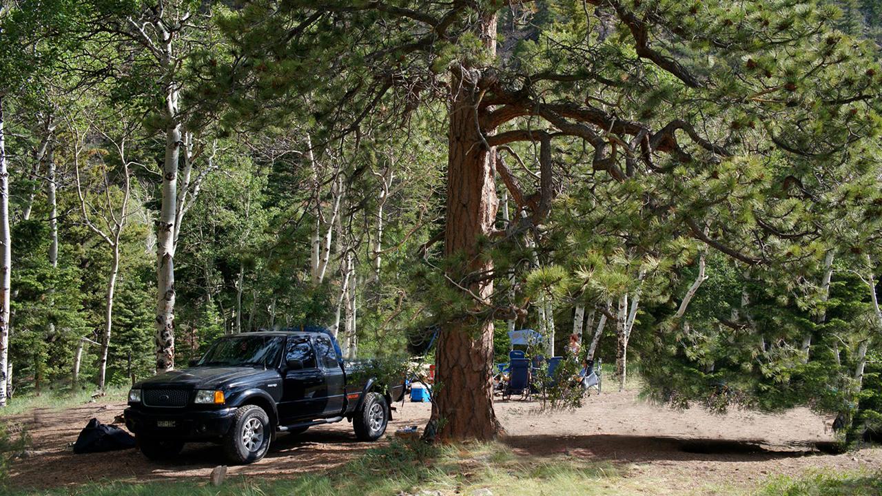 Medano Pass Primitive Road Campsites photo 2