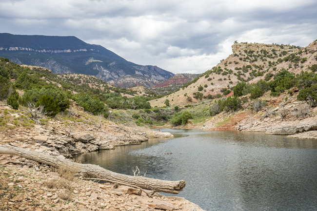 Medicine Creek Campground photo