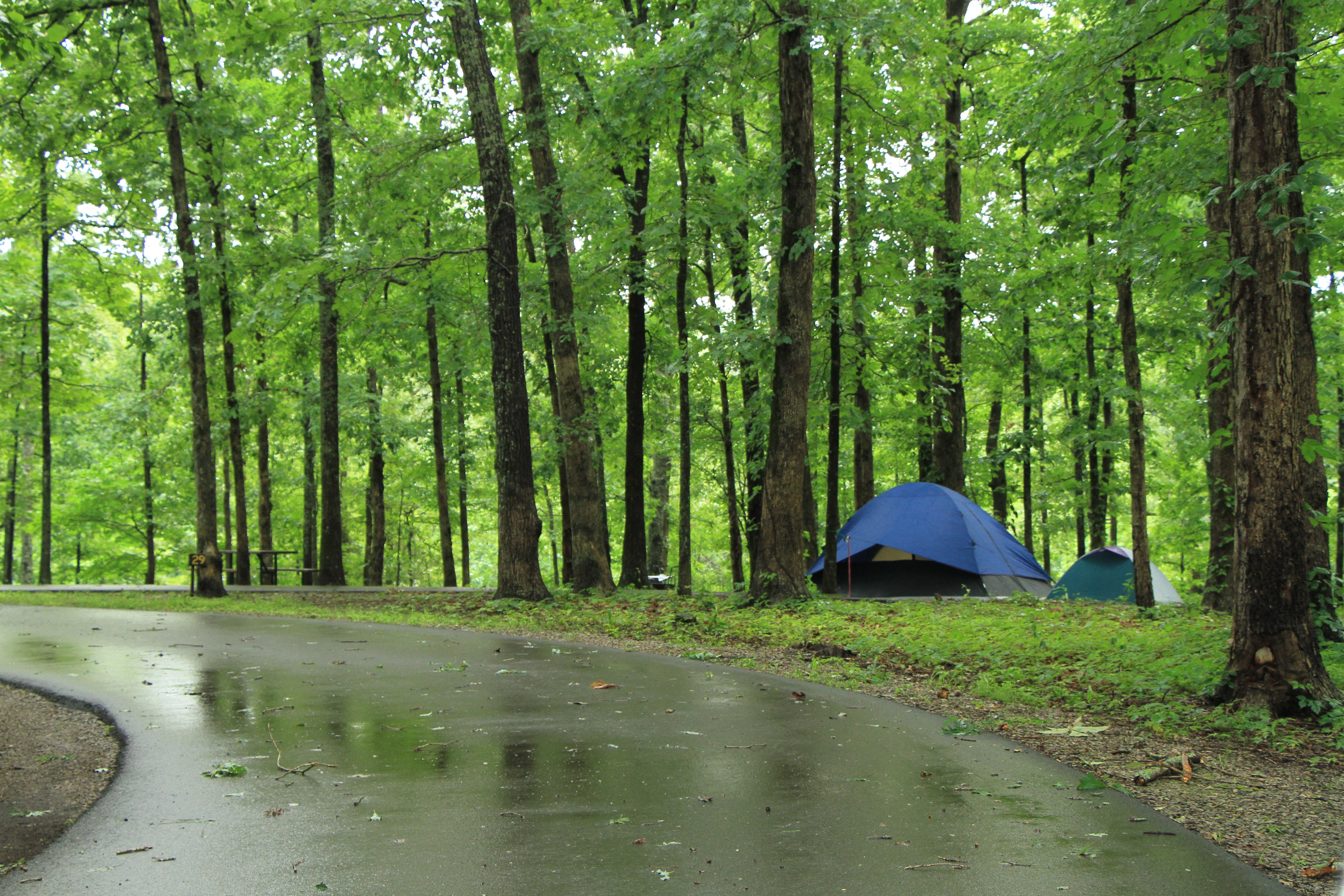 Meriwether Lewis Campground, Milepost 385.9 photo 3