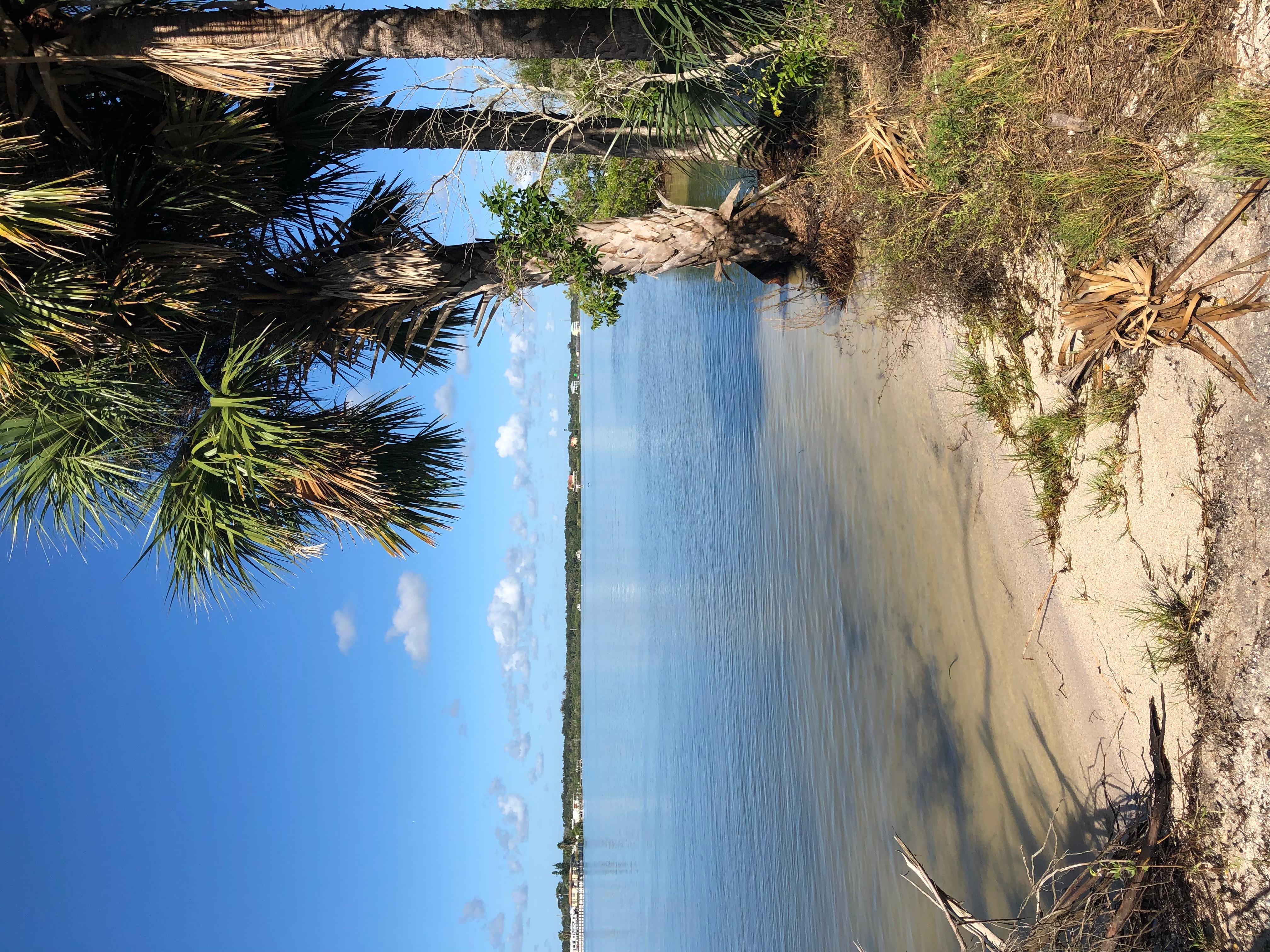 Middle Dredge Campsite photo 3