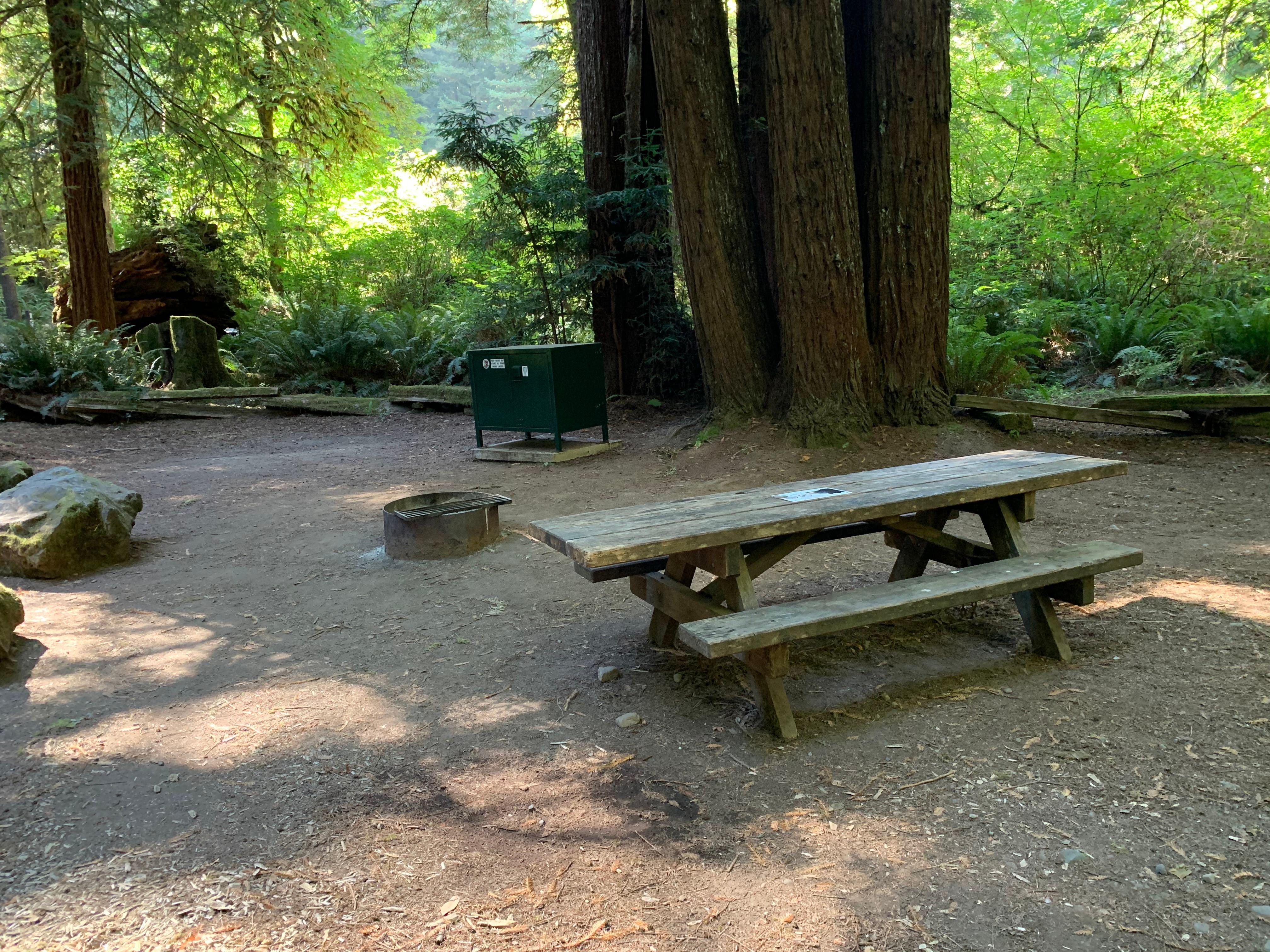 Mill Creek Campground - Del Norte Coast Redwoods State Park photo