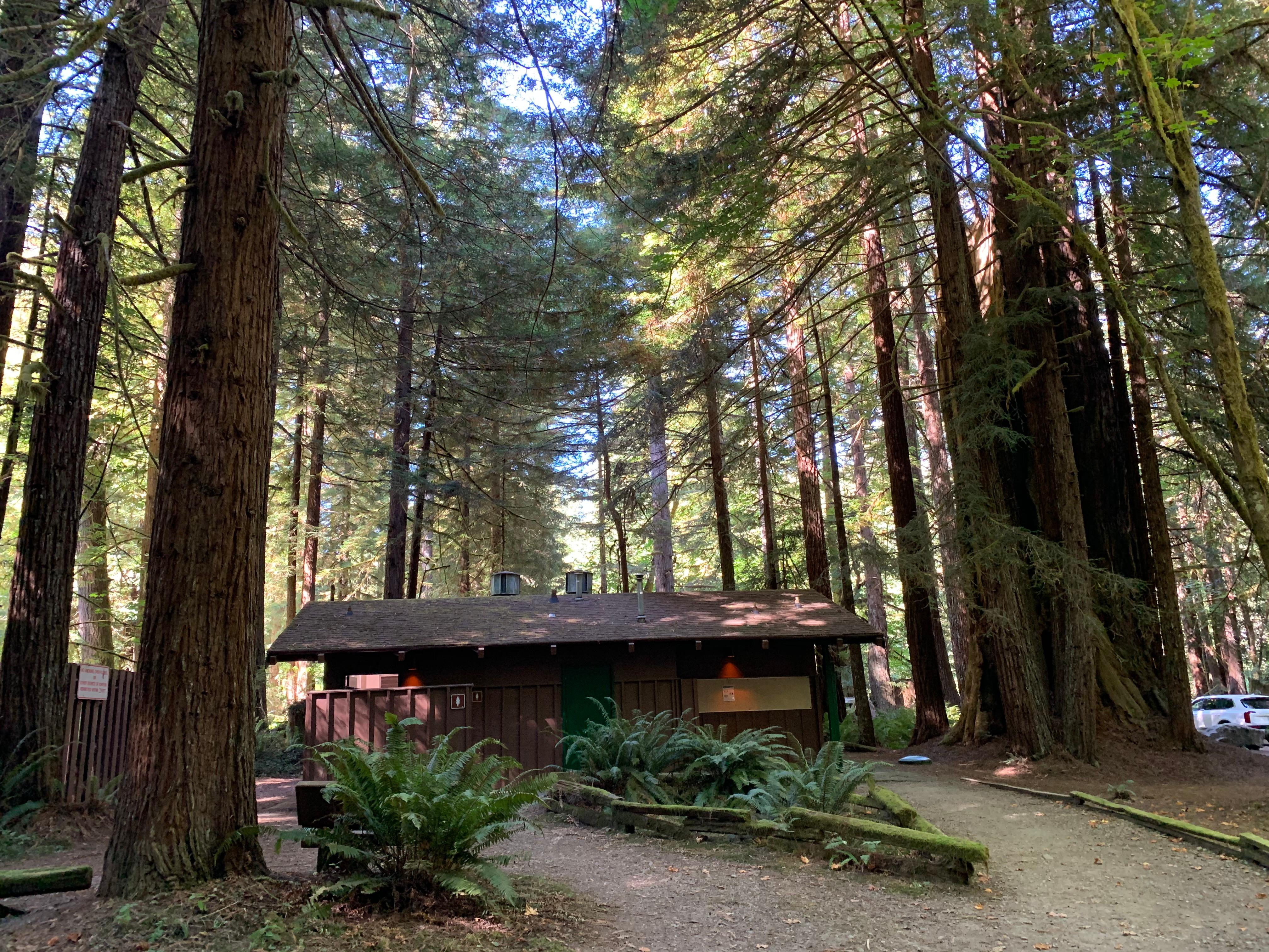 Mill Creek Campground - Del Norte Coast Redwoods State Park photo 2