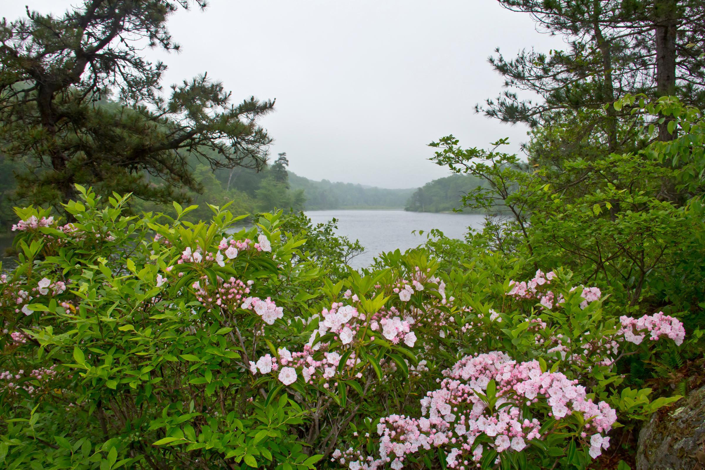 Mohican Outdoor Center photo