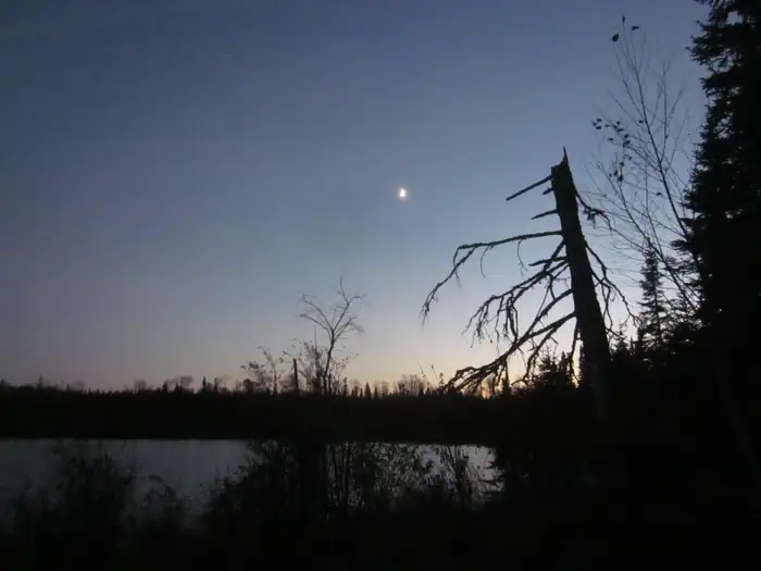 Moskey Basin Campground photo 3