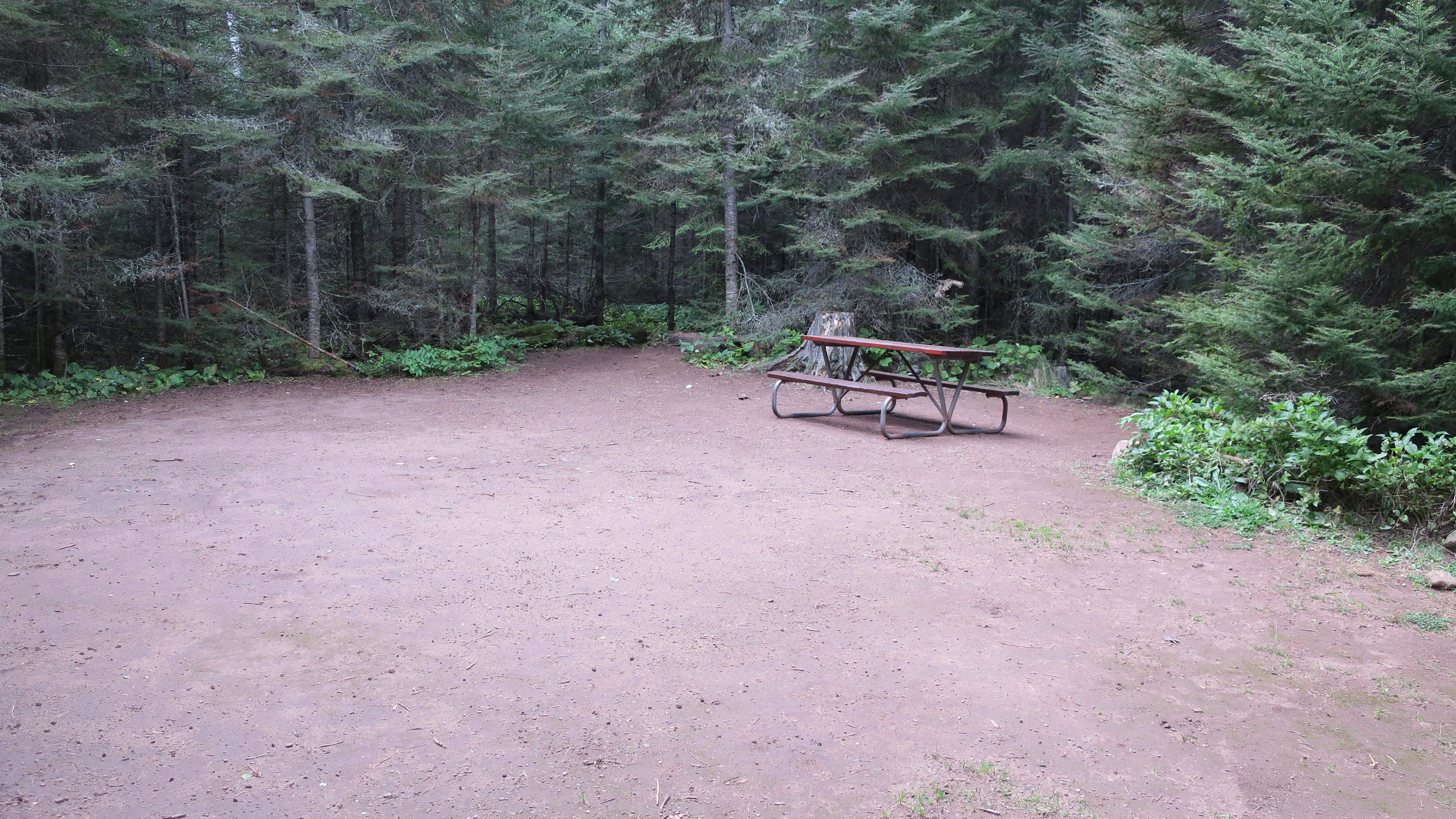 Moskey Basin Campground photo 4