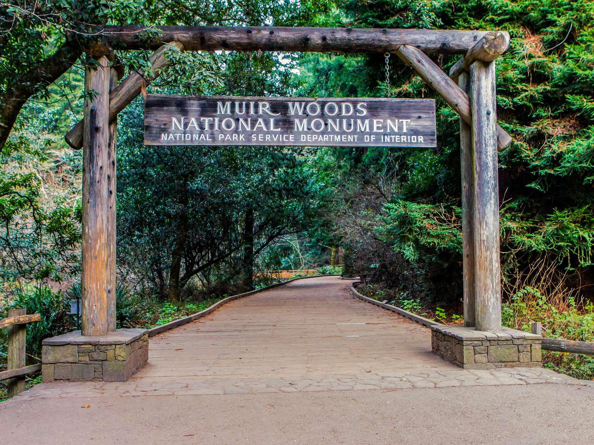 Muir Woods Visitor Center photo 2