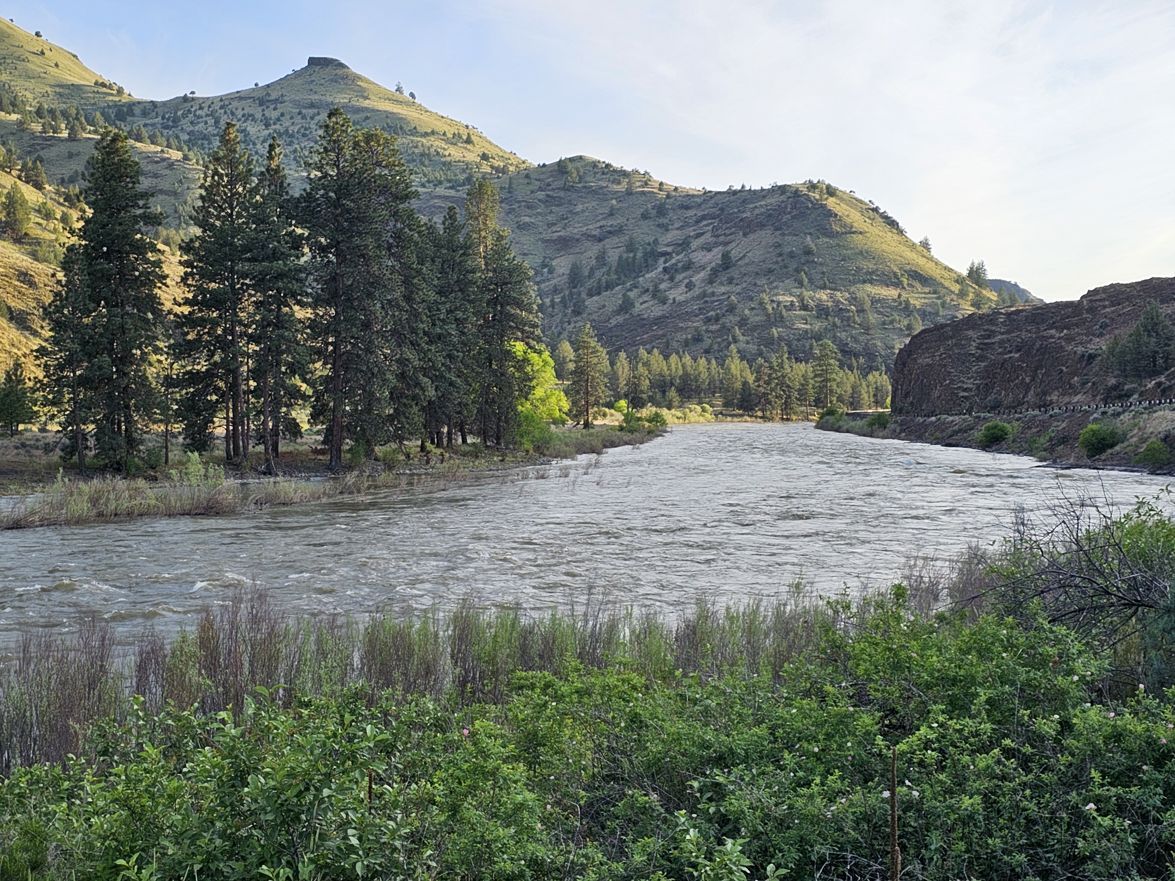 Muleshoe Campground photo
