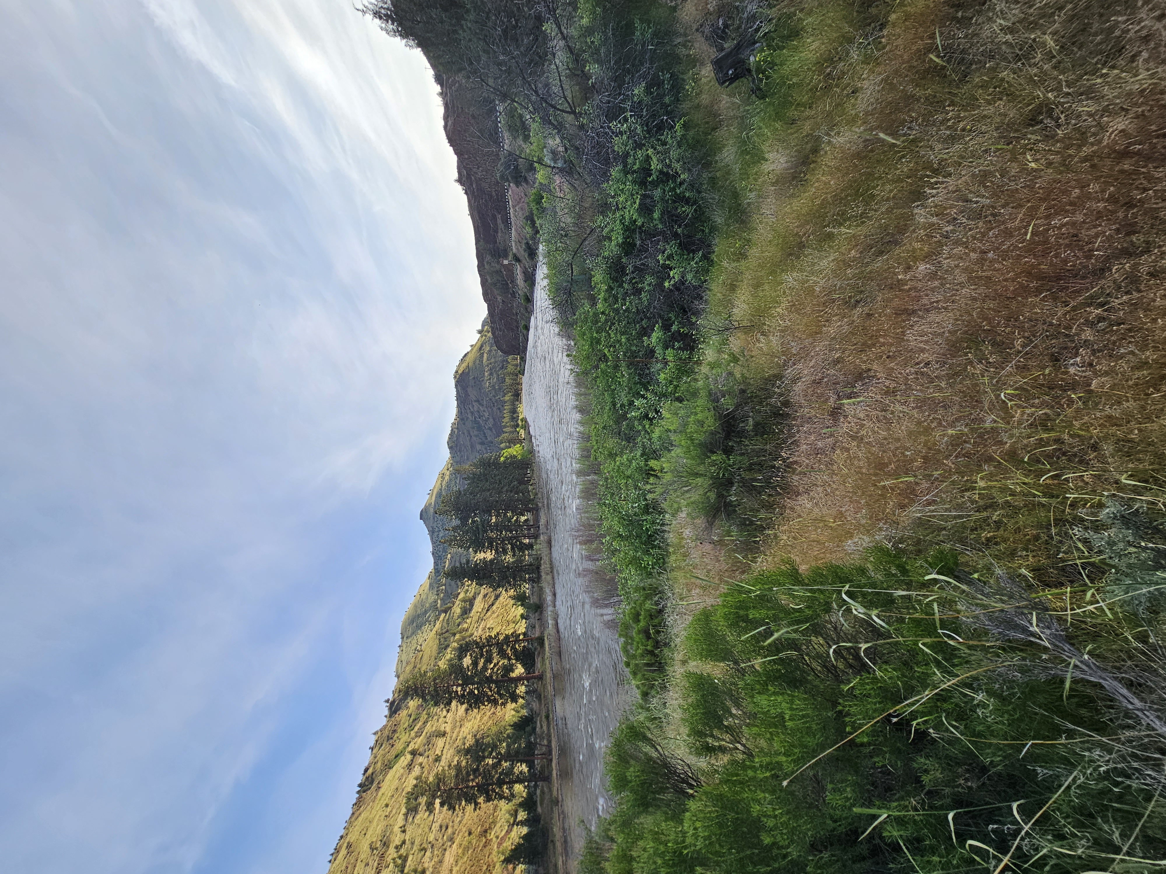 Muleshoe Campground photo 2