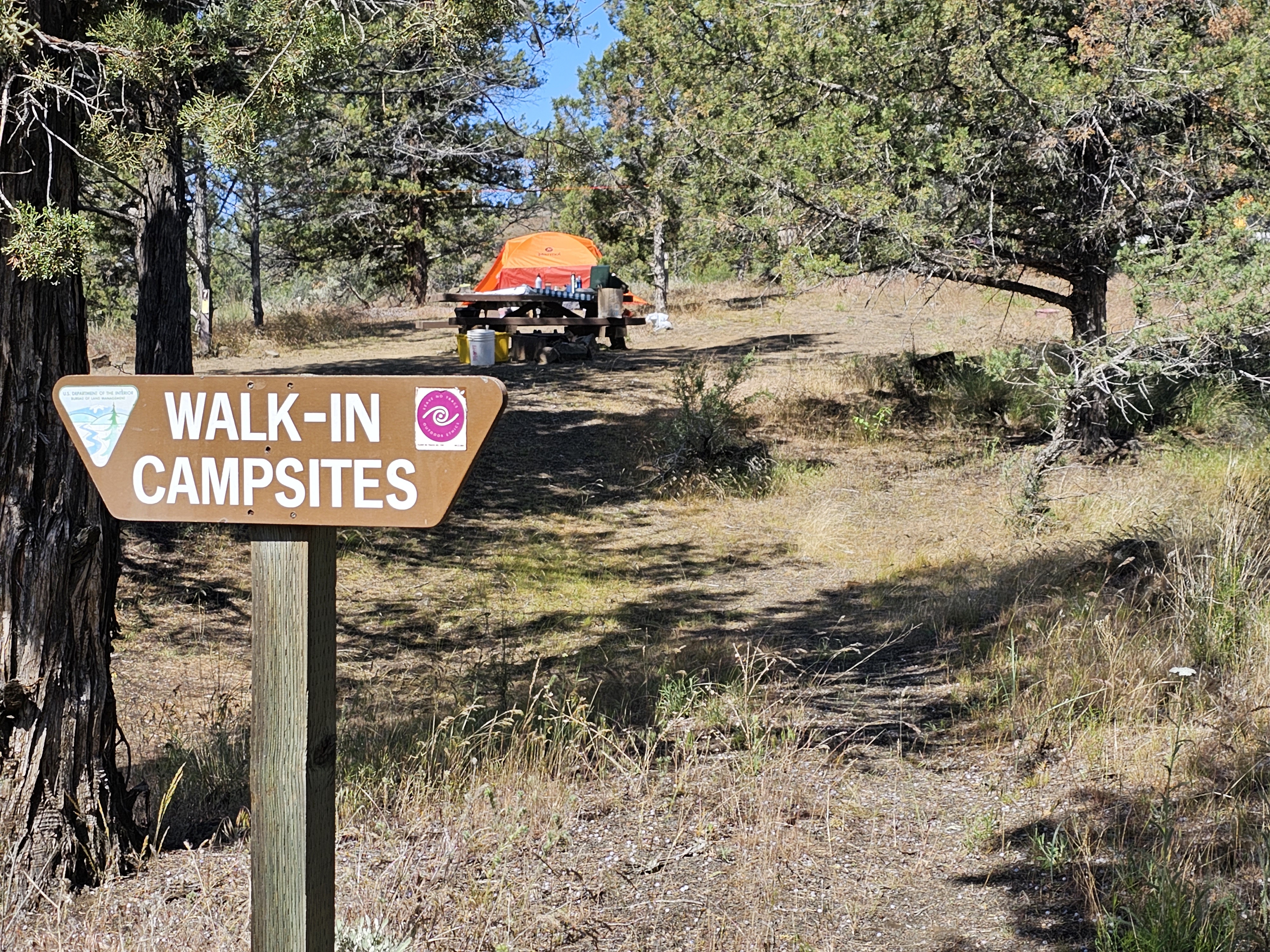 Muleshoe Campground photo 4