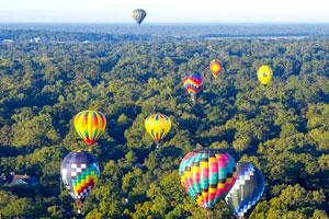 Natchez Visitor Center photo 4