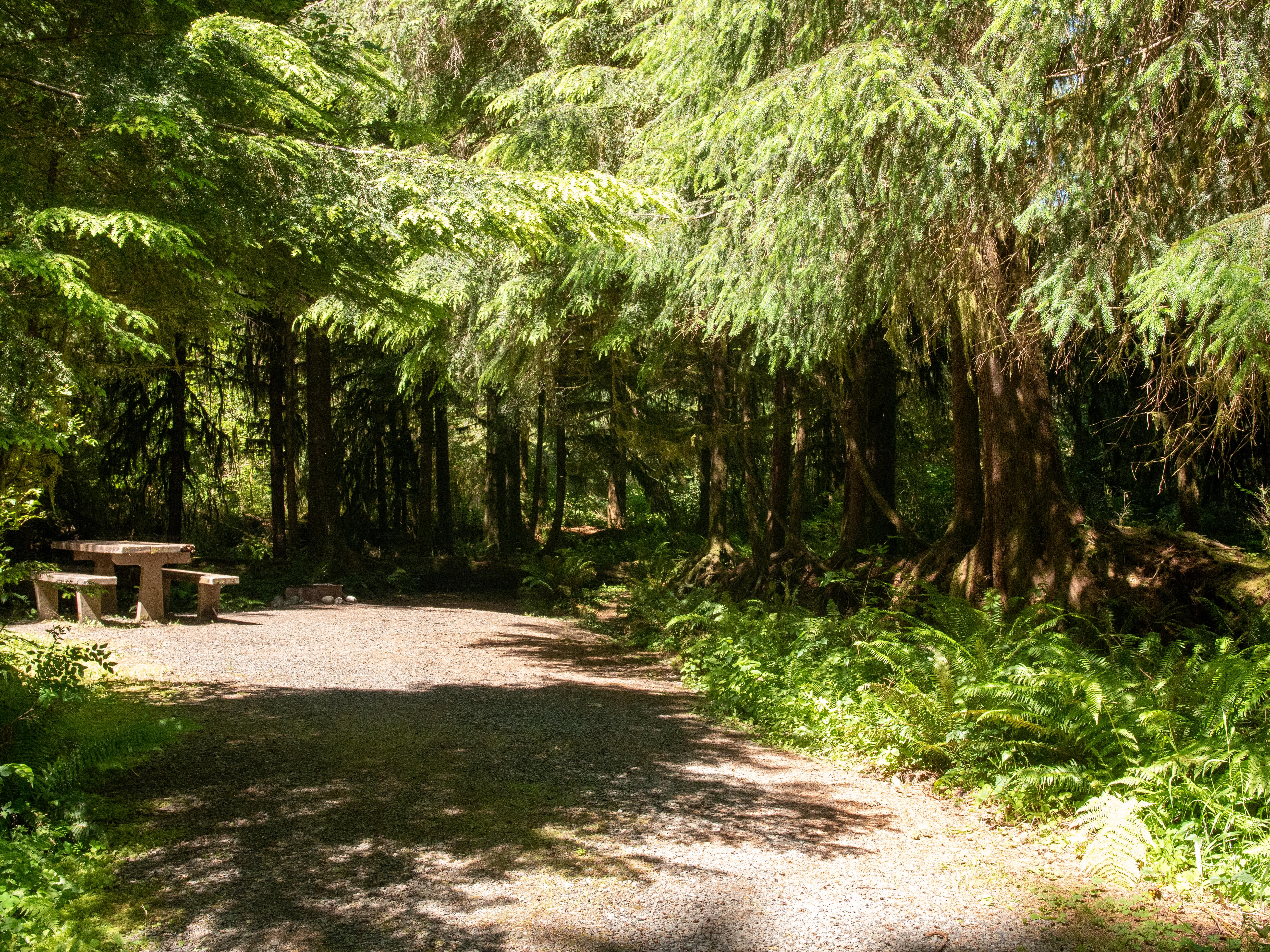 North Fork Campground photo