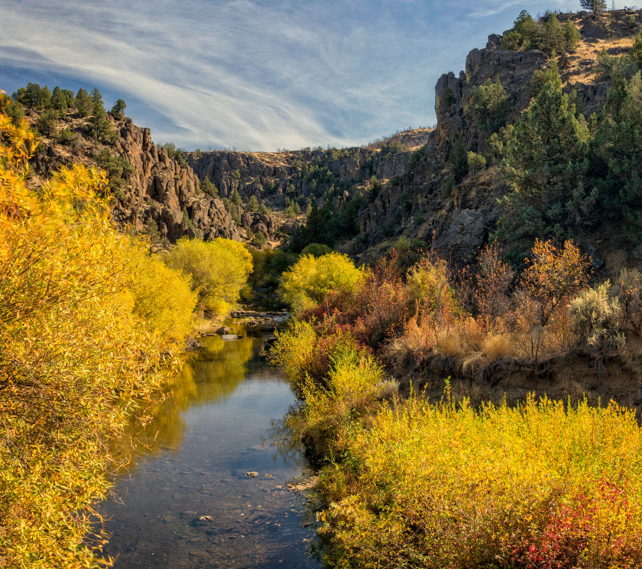 North Fork Campground photo