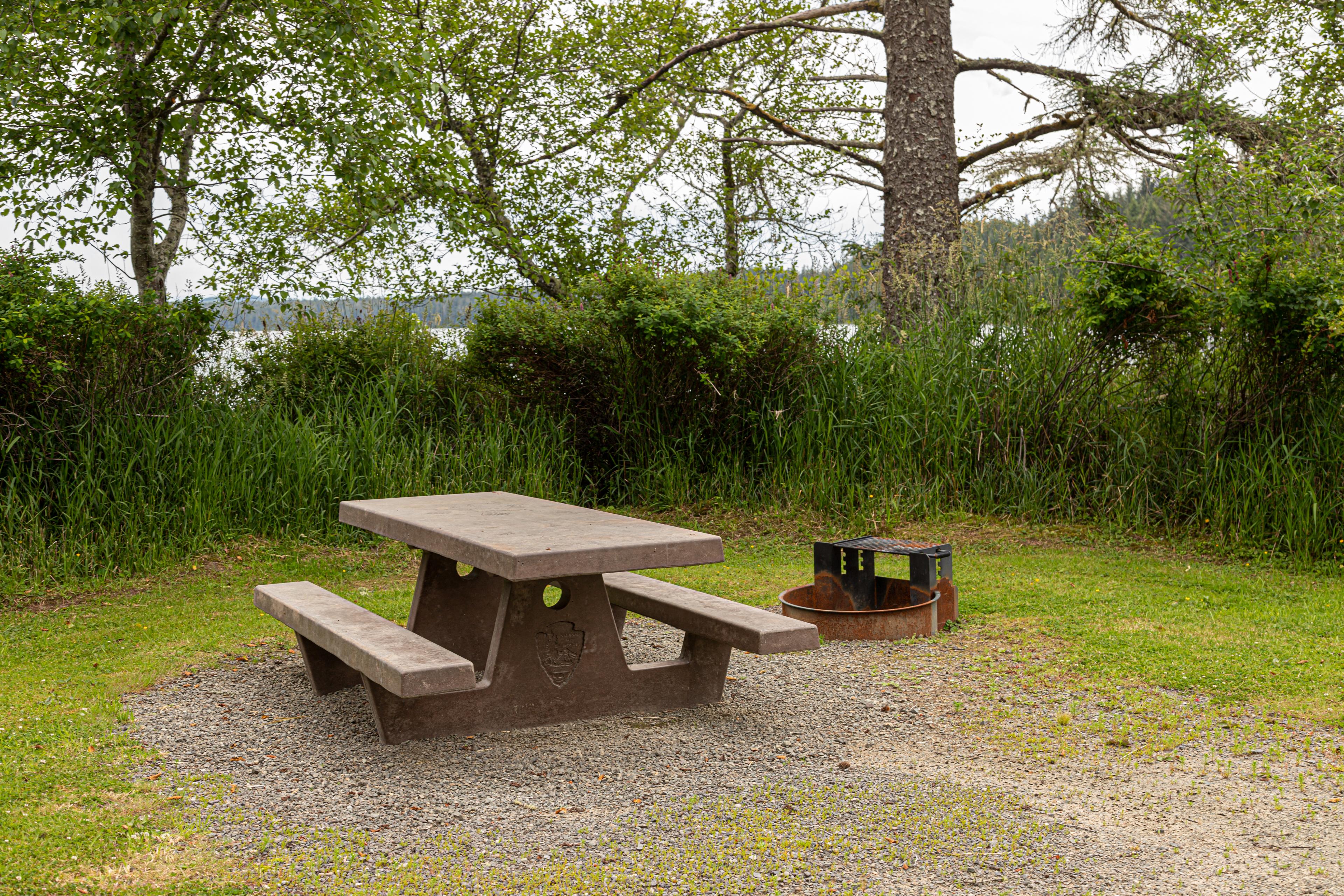 Ozette Campground photo