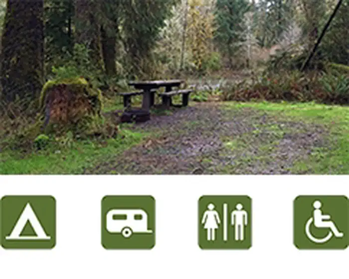 Ozette Campground photo 3