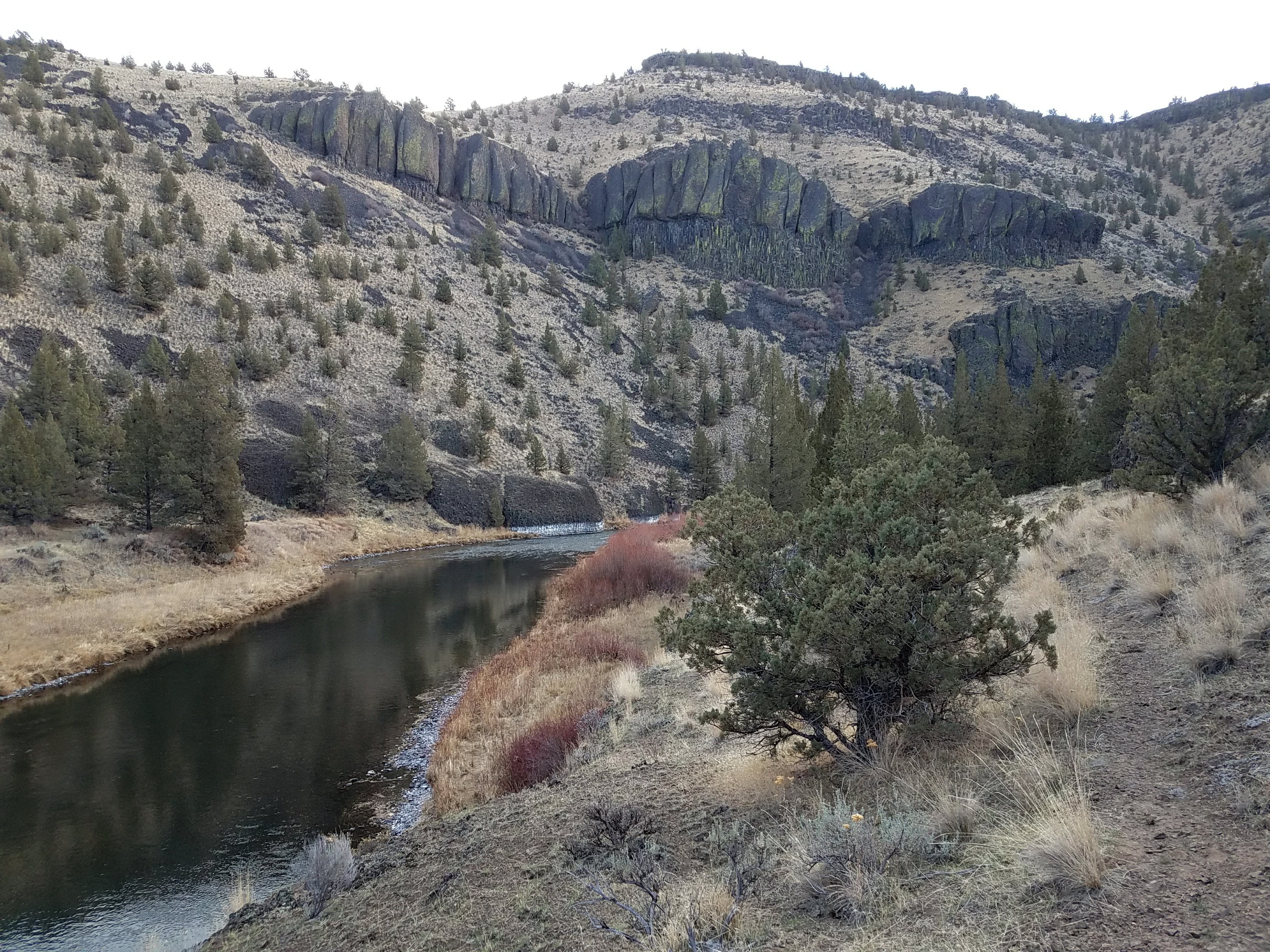 Palisades Campground photo 4