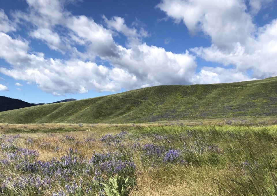 Palmer Mountain photo