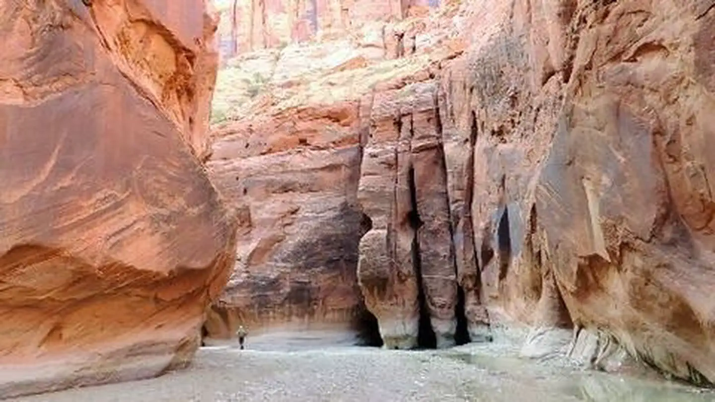 Paria Canyon-Vermilion Cliffs Wilderness Area photo